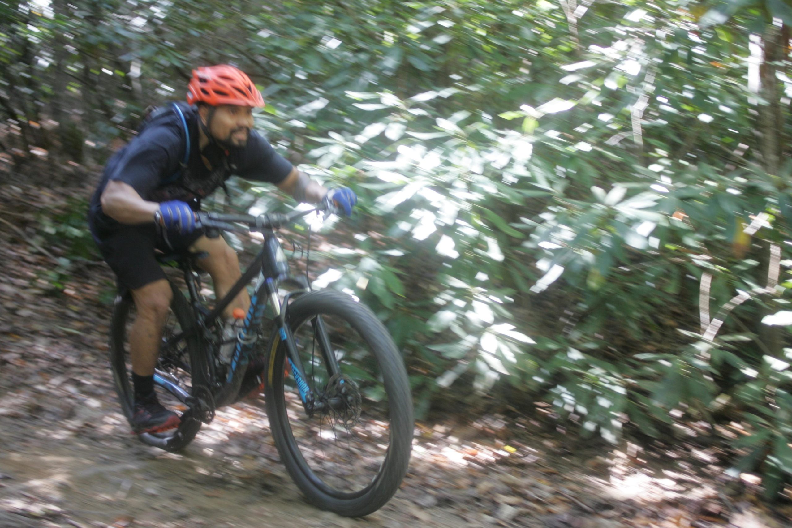 A cyclist in an orange helmet rides a mountain bike along a winding dirt trail, surrounded by dense green foliage. The image conveys a sense of speed and motion, with the background appearing blurred to emphasize the cyclist's dynamic movement. Bent Creek mountain bike trail.