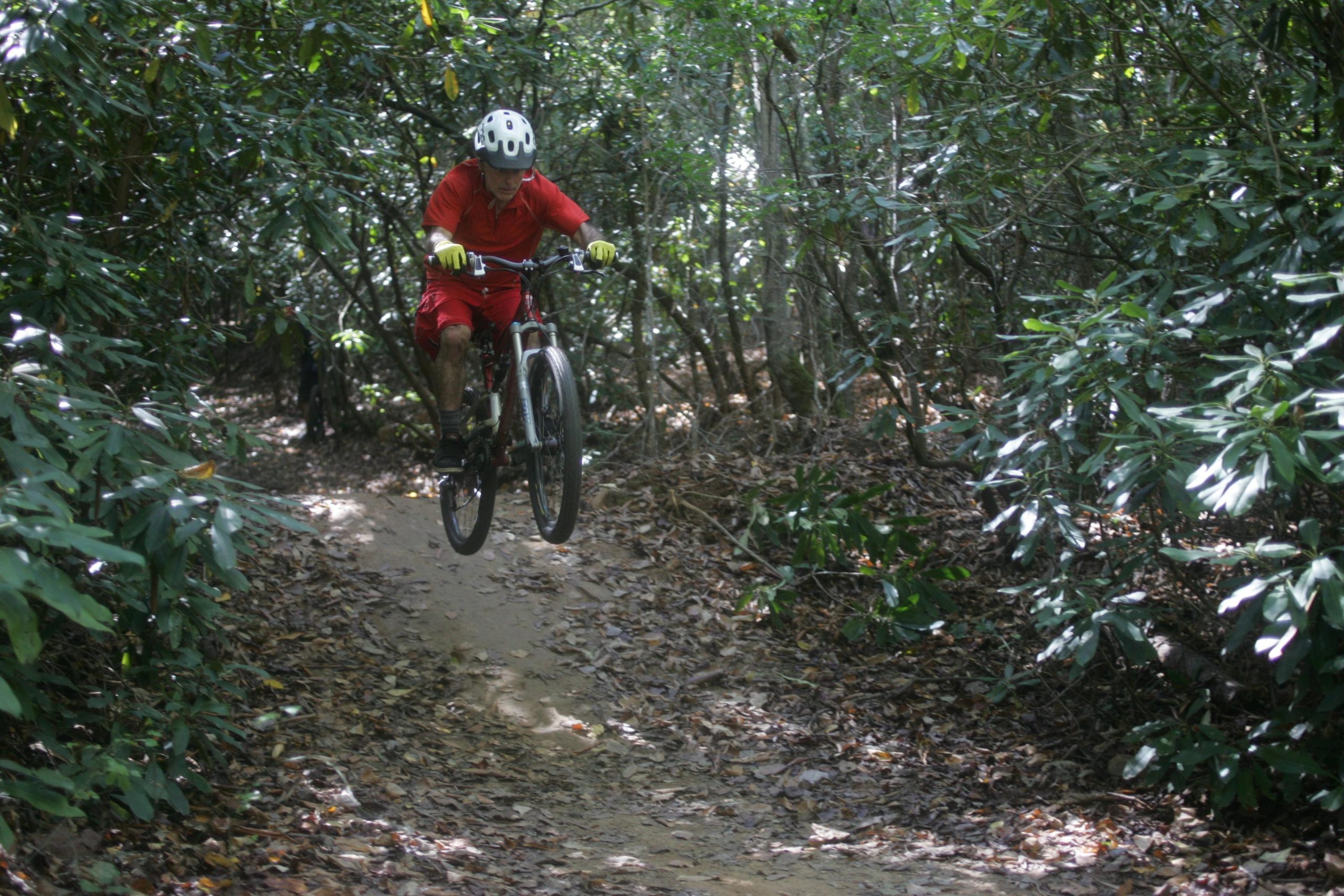 A mountain biker in a red shirt and shorts jumps over a dirt path in a lush green forest, surrounded by dense foliage and fallen leaves. Bent Creek mountain bike trail.