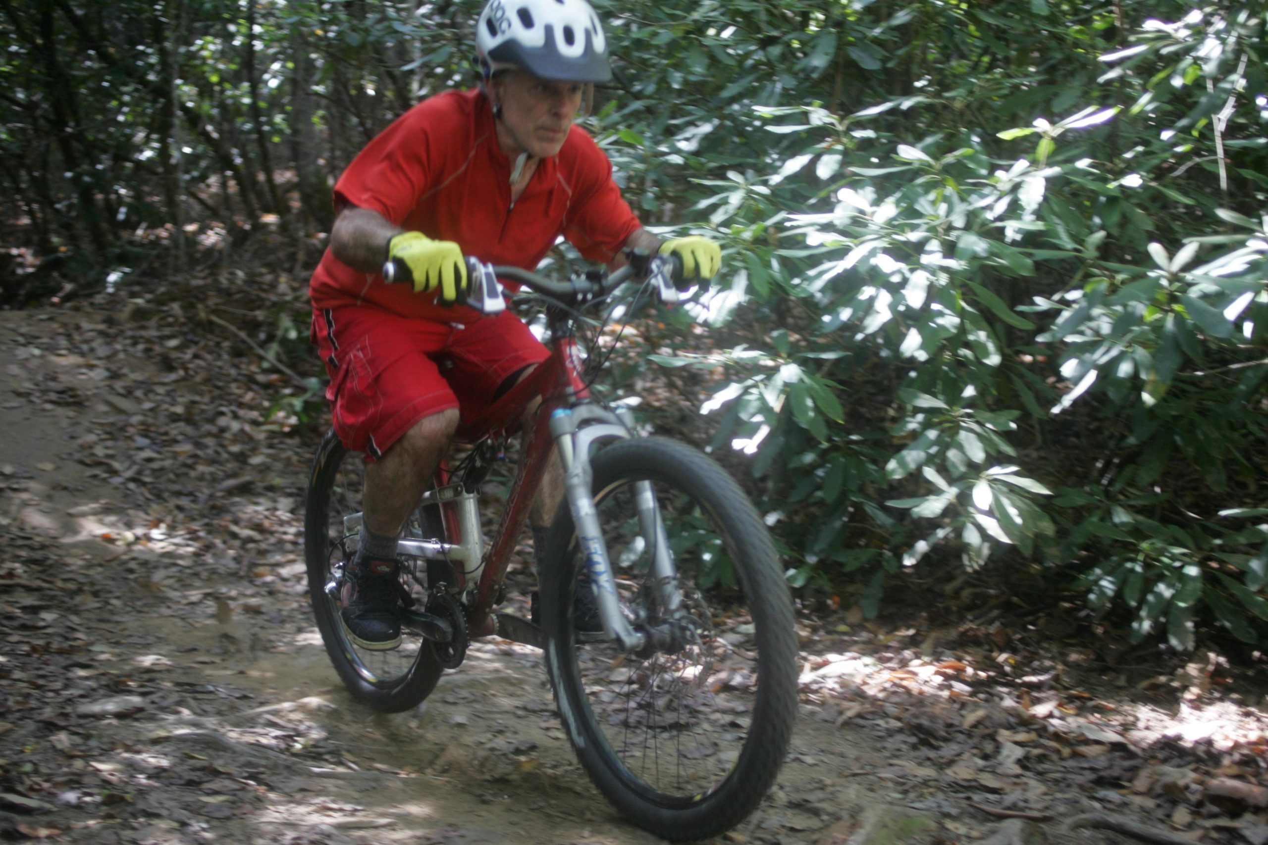 A person in a red shirt and shorts rides a mountain bike along a dirt trail surrounded by greenery. They are wearing a helmet and gloves, focused on navigating the terrain. Sunlight filters through the leaves, creating dappled patterns on the ground. Bent Creek mountain bike trail.