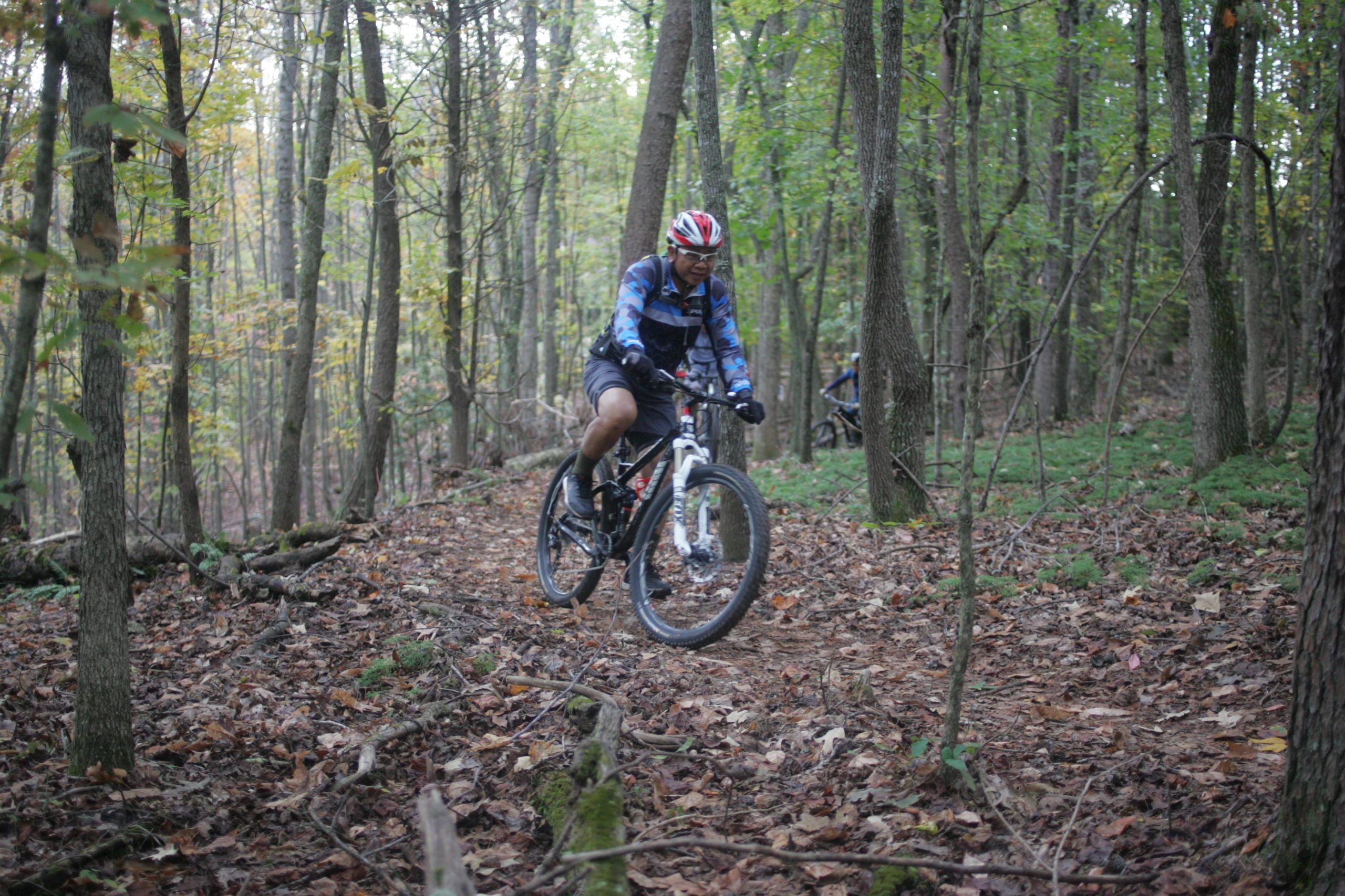 A mountain biker rides along a narrow trail in a wooded area, surrounded by trees and fallen leaves. The cyclist, wearing a red and white helmet and a blue jacket, navigates through the natural landscape. Another cyclist is visible in the background, also riding along the trail. Mountain Laurel Trails mountain bike trail.