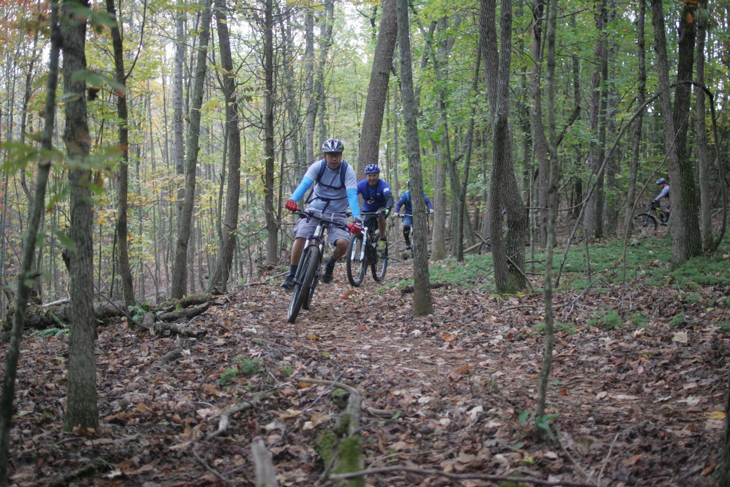Three cyclists navigate a dirt trail through a wooded area, surrounded by trees with green and autumn-colored leaves. The first cyclist, wearing a blue long-sleeve shirt and a helmet, is in the foreground, while the other two cyclists follow behind, all riding mountain bikes. The ground is covered with fallen leaves and scattered twigs. Mountain Laurel Trails mountain bike trail.
