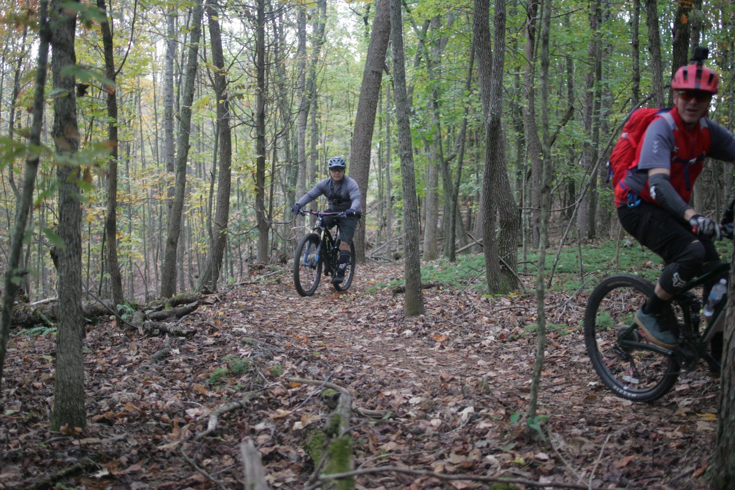 Two mountain bikers ride along a winding trail in a forest. The surroundings include tall trees with autumn foliage and a ground covered in leaves and small branches. One biker is wearing a gray long-sleeve shirt and a helmet, while the other is clad in a red backpack and short-sleeved shirt. The atmosphere is dynamic and adventurous. Mountain Laurel Trails mountain bike trail.