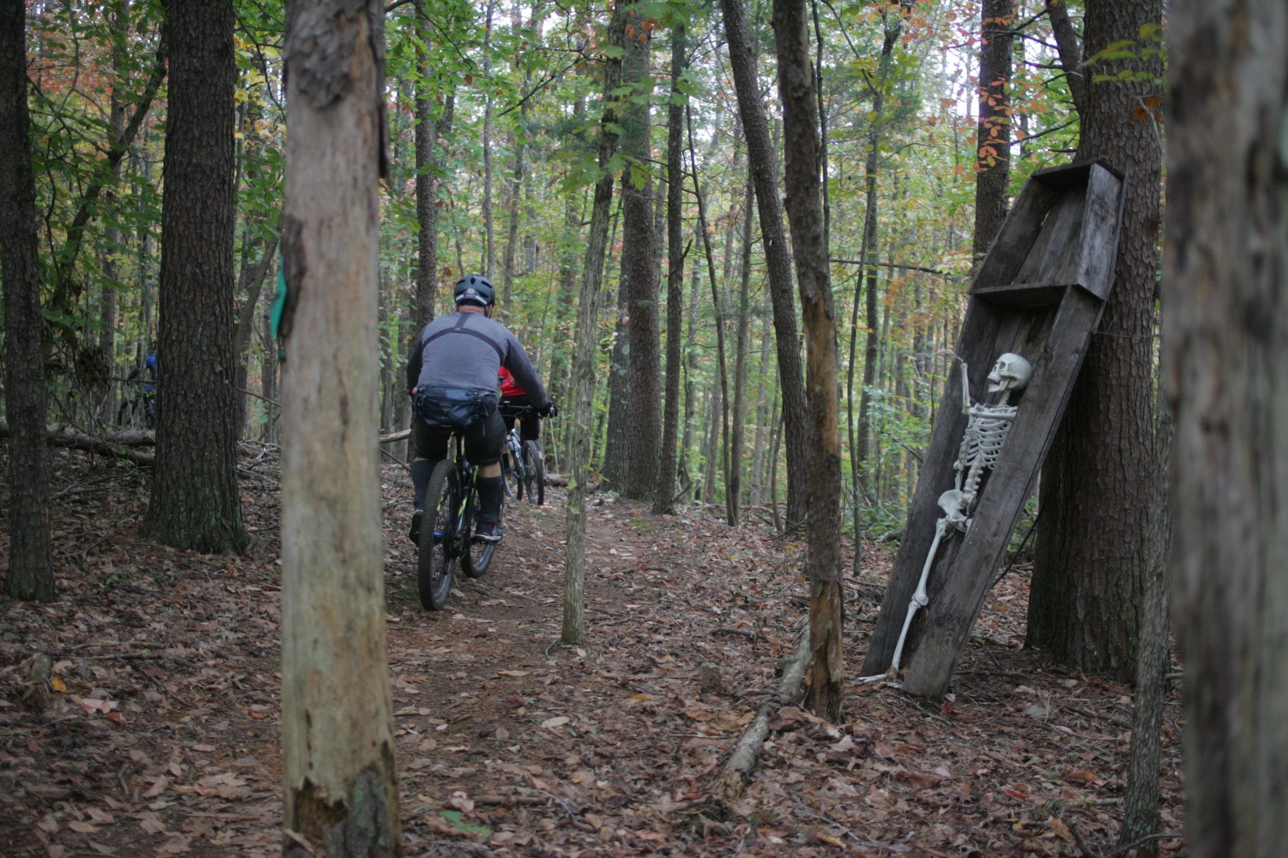 A mountain biker riding along a dirt trail in a wooded area, with a skeleton displayed in a wooden coffin to the side of the path. Trees surround the trail and autumn leaves cover the ground. Mountain Laurel Trails mountain bike trail.