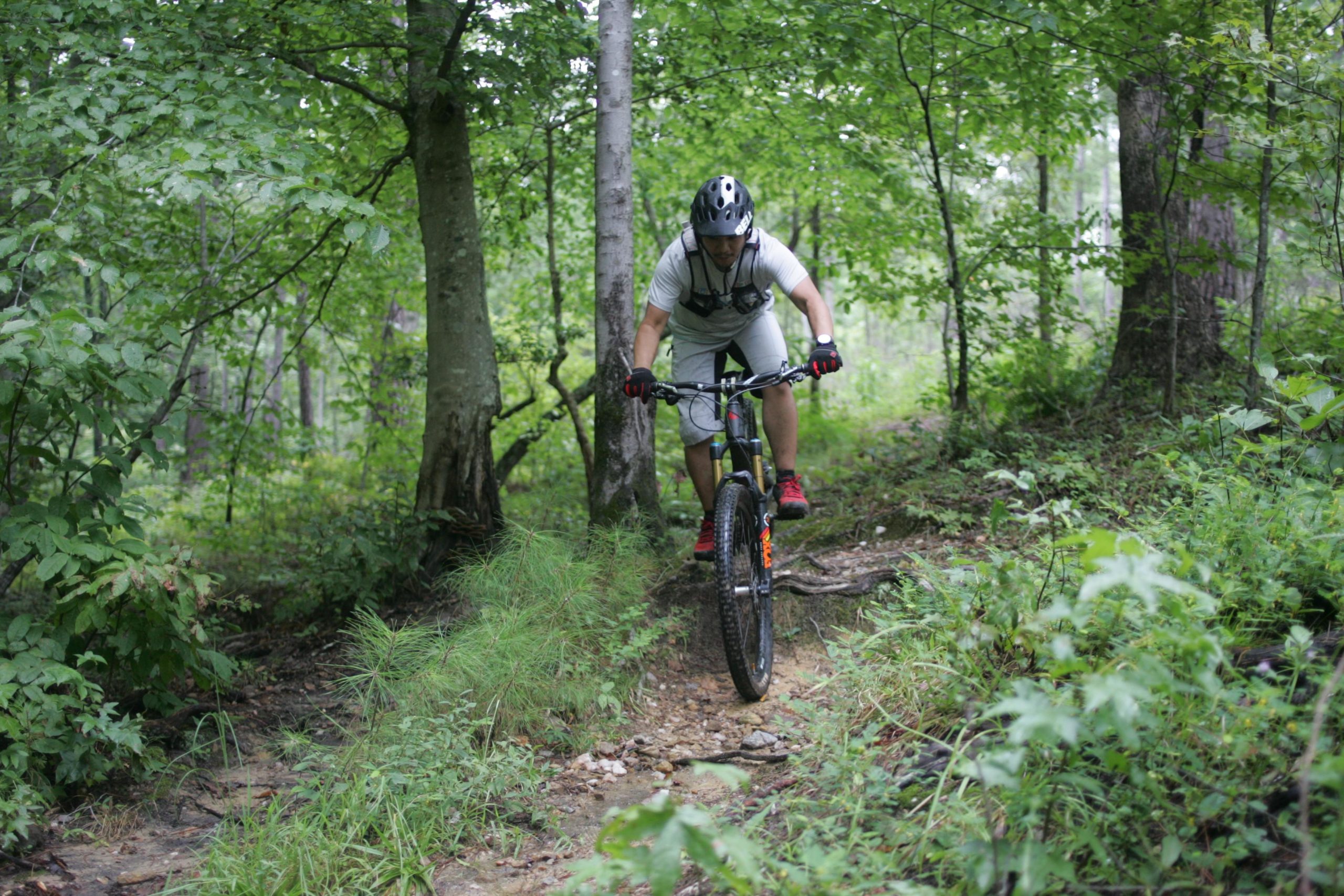A person biking on a dirt trail through a lush green forest. The cyclist is wearing a helmet, gloves, and casual sports attire, focusing intently as they navigate the rugged terrain. Surrounding vegetation includes trees and underbrush, creating a vibrant, natural setting. New Light Trails mountain bike trail.