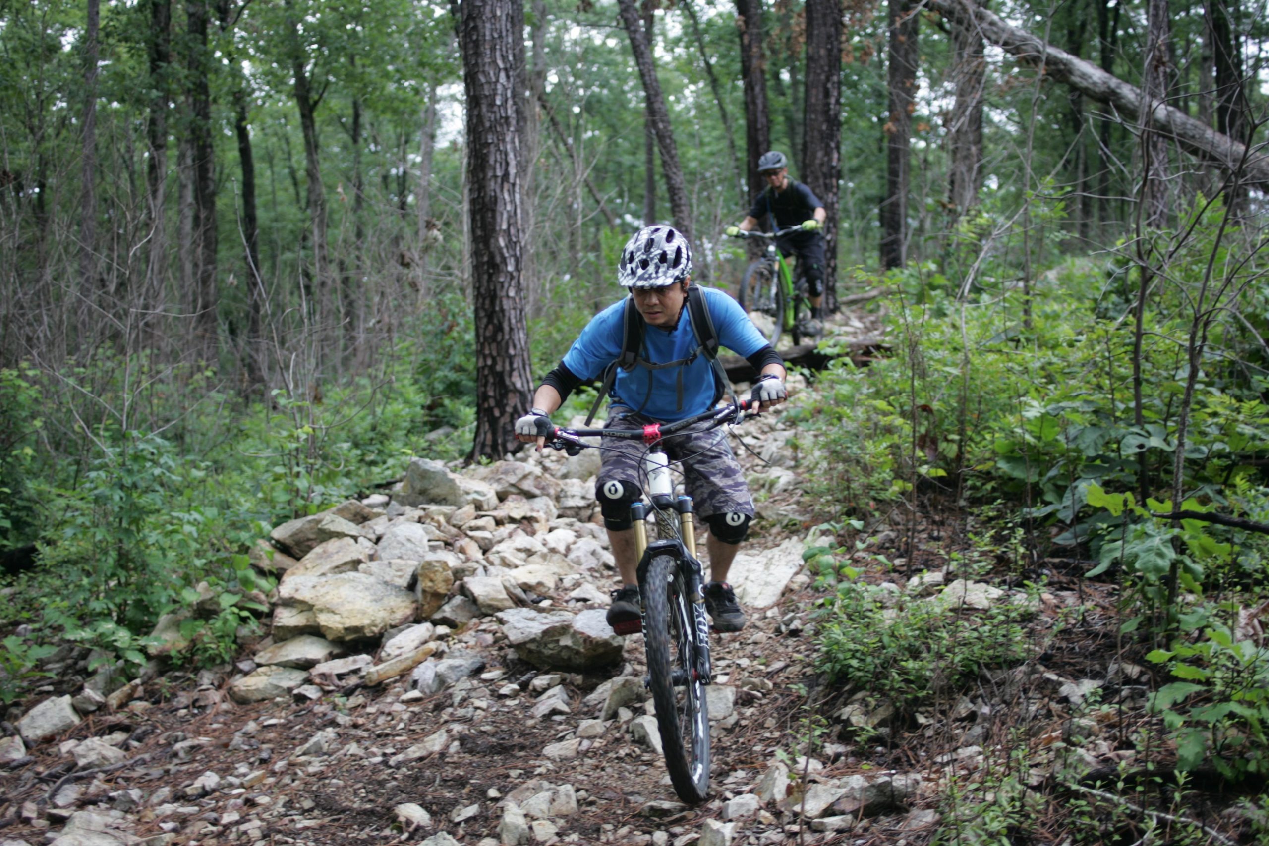 Two mountain bikers navigate a rocky trail in a wooded area. The first rider, wearing a blue shirt and a helmet, is approaching a patch of loose stones. The second rider, dressed in dark clothing, follows behind on the path. Lush greenery and tall trees surround the scene, highlighting the outdoor adventure. New Light Trails mountain bike trail.