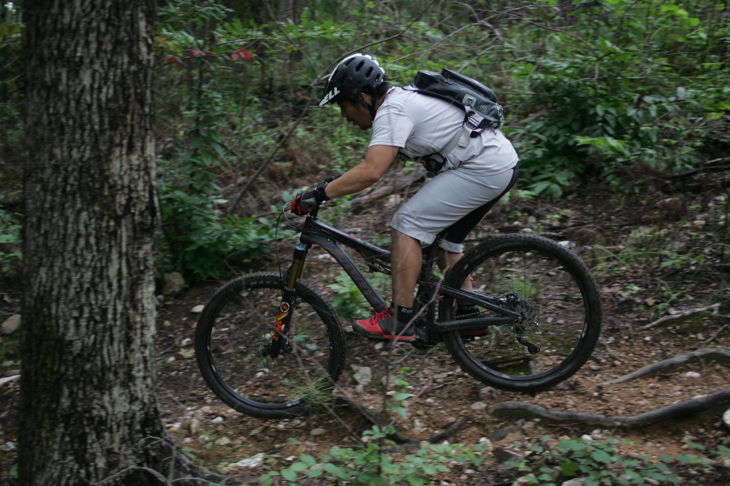 A person riding a mountain bike on a rocky trail surrounded by greenery, leaning forward to navigate around a tree. The rider is wearing a helmet and geared for off-road biking. New Light Trails mountain bike trail.