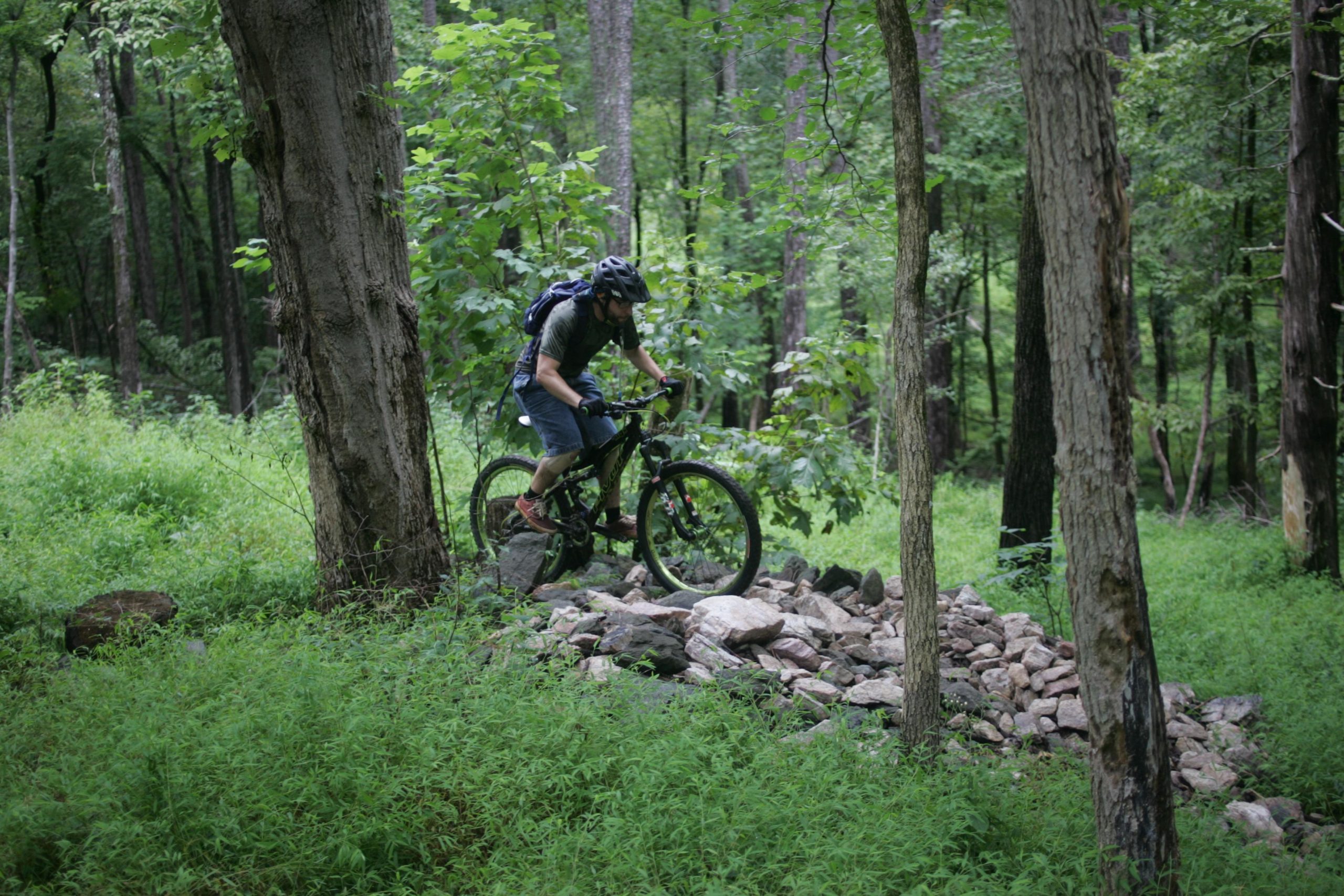 A person riding a mountain bike navigates over a rocky terrain in a wooded area, surrounded by green foliage and trees. New Light Trails mountain bike trail.