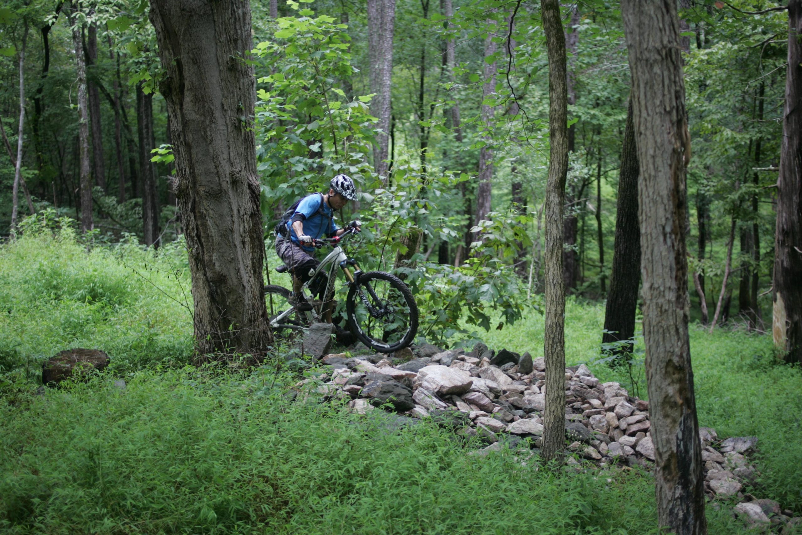 A mountain biker navigating over a pile of stones in a lush, green forest. Surrounding trees and foliage create a vibrant natural setting. New Light Trails mountain bike trail.