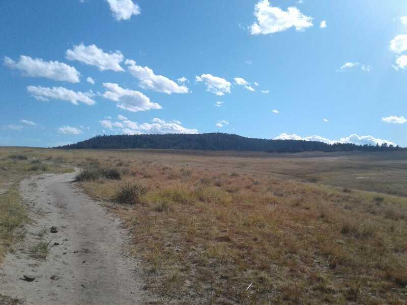A dirt path winding through a grassy landscape, leading towards a distant forested hill under a bright blue sky with scattered white clouds. The scene captures a serene and open natural environment. Spruce Meadow mountain bike trail.