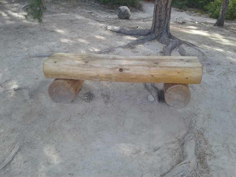 A rustic wooden bench made from a log, resting on two shorter wooden supports, situated on sandy ground with scattered rocks and tree roots in a natural outdoor setting. Spruce Mountain Trail Upper Loop mountain bike trail.