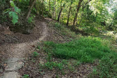 A winding dirt trail surrounded by lush greenery and trees in a wooded area. The path is partially covered with stones and leads through a vibrant, natural landscape. Bayyari Park mountain bike trail.