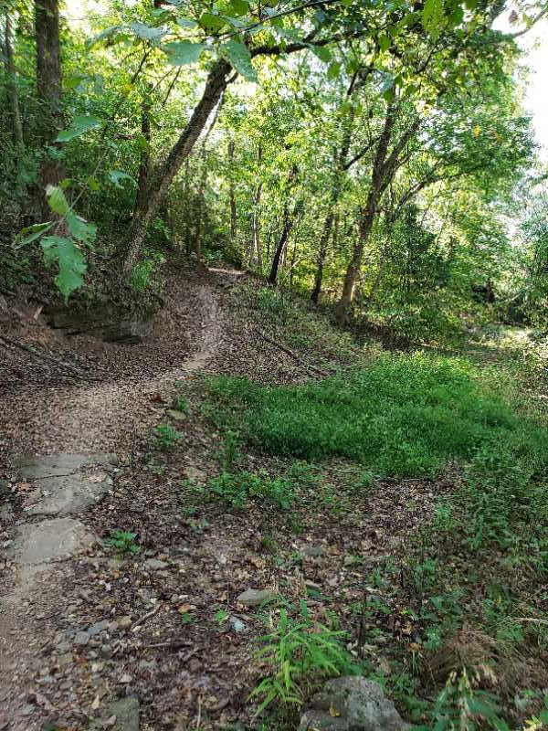 A winding dirt trail surrounded by lush greenery and trees in a wooded area. The path is partially covered with stones and leads through a vibrant, natural landscape. Bayyari Park mountain bike trail.