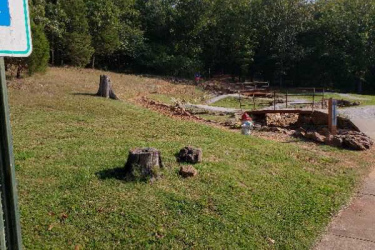 A grassy area with fallen tree stumps and a small pile of wood debris. In the background, there are dense trees and a partly cloudy sky. A sign indicating "No Parking" is partially visible in the foreground. Bayyari Park mountain bike trail.