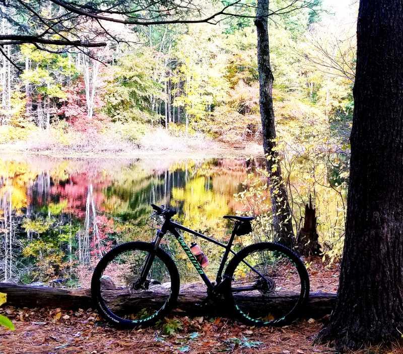 A mountain bike resting on a log by a serene pond, surrounded by vibrant autumn foliage reflecting in the water. F. Gilbert Hills State Park mountain bike trail.