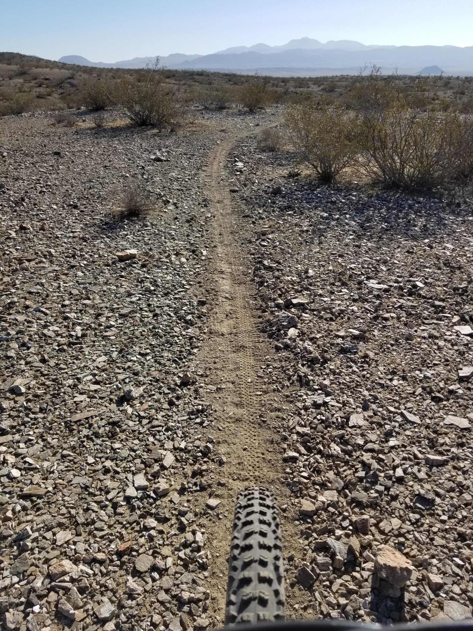 A view of a rocky trail in a desert landscape, with sparse vegetation and distant mountains visible in the background. The foreground shows the tire of a mountain bike in focus, suggesting the perspective of a rider on the path. Wayne