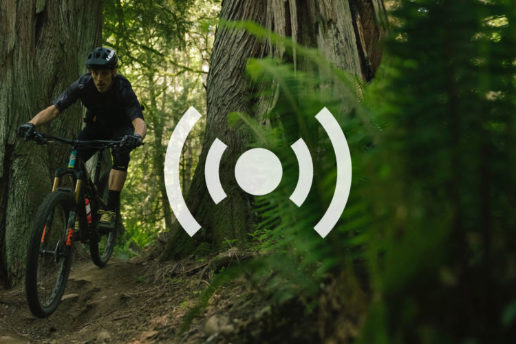 A mountain biker navigating a rugged trail through a dense forest, surrounded by tall trees and ferns, with a symbol indicating live streaming or broadcasting overlay.