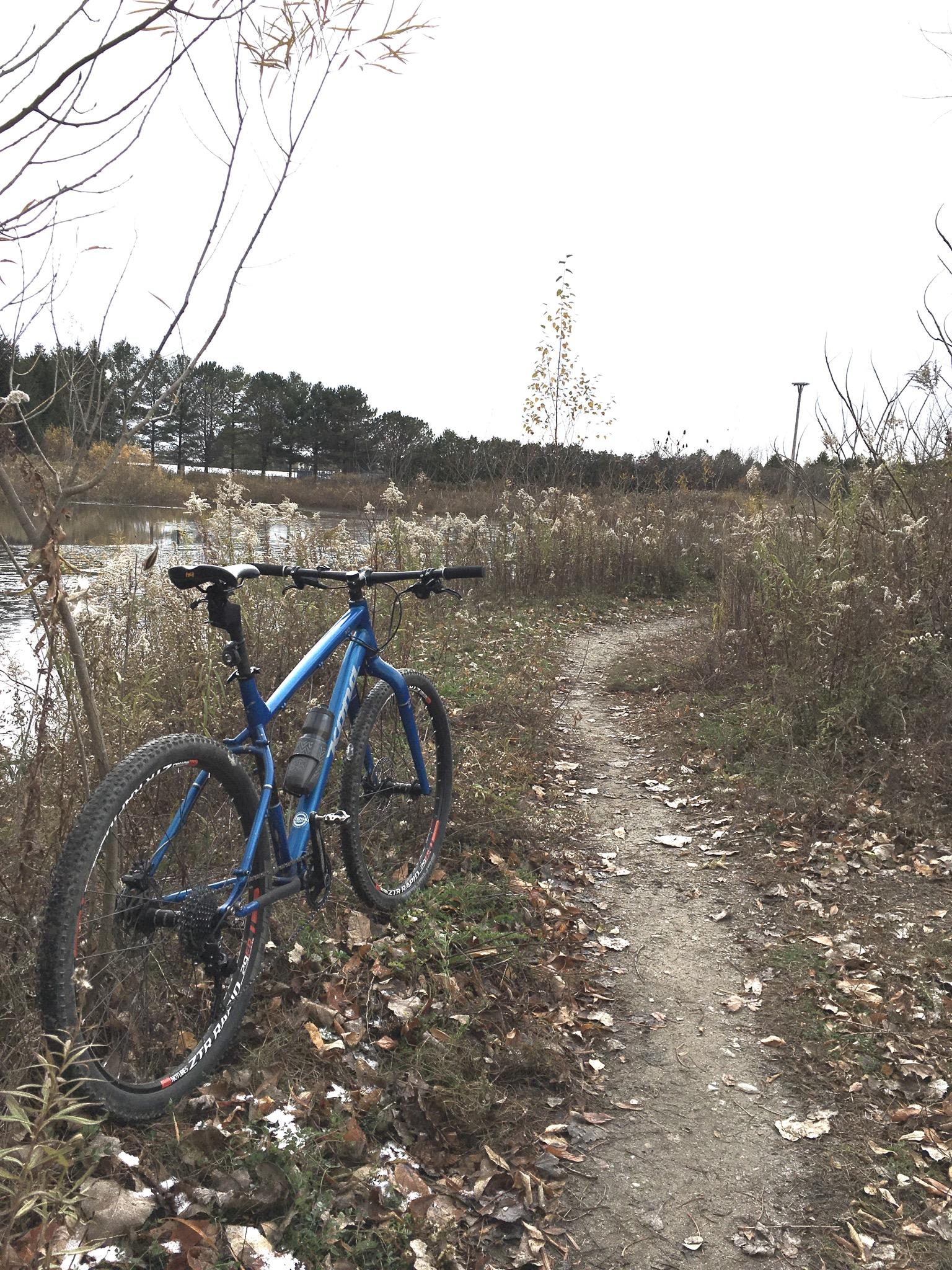 A blue mountain bike resting on a dirt path surrounded by grass and autumn leaves, with a calm body of water and a forested area in the background under a cloudy sky. Union station back woods mountain bike trail.