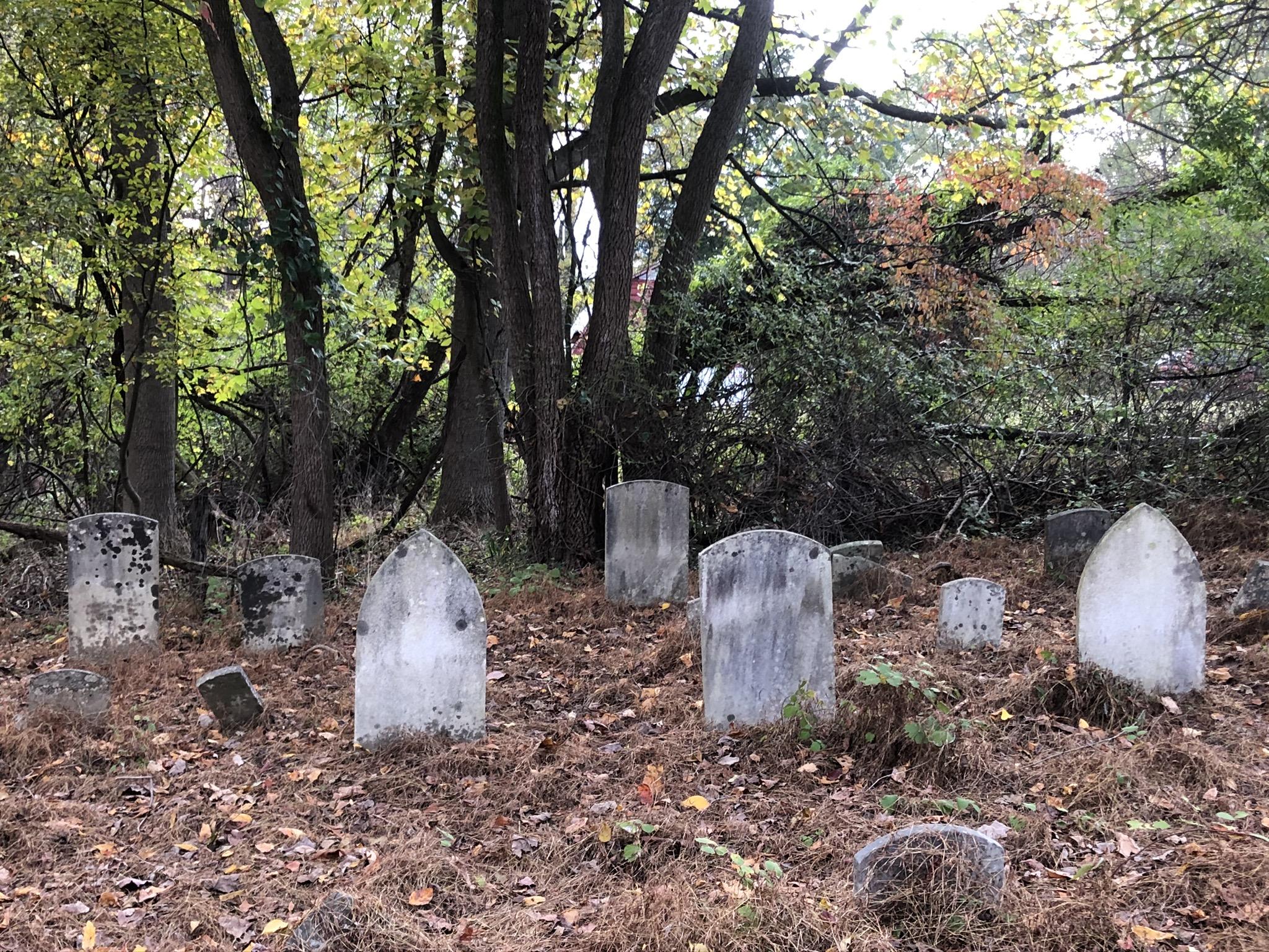 A small, overgrown cemetery with several old, weathered gravestones surrounded by trees and fallen leaves, creating a somber and tranquil atmosphere. Susquehanna mountain bike trail.