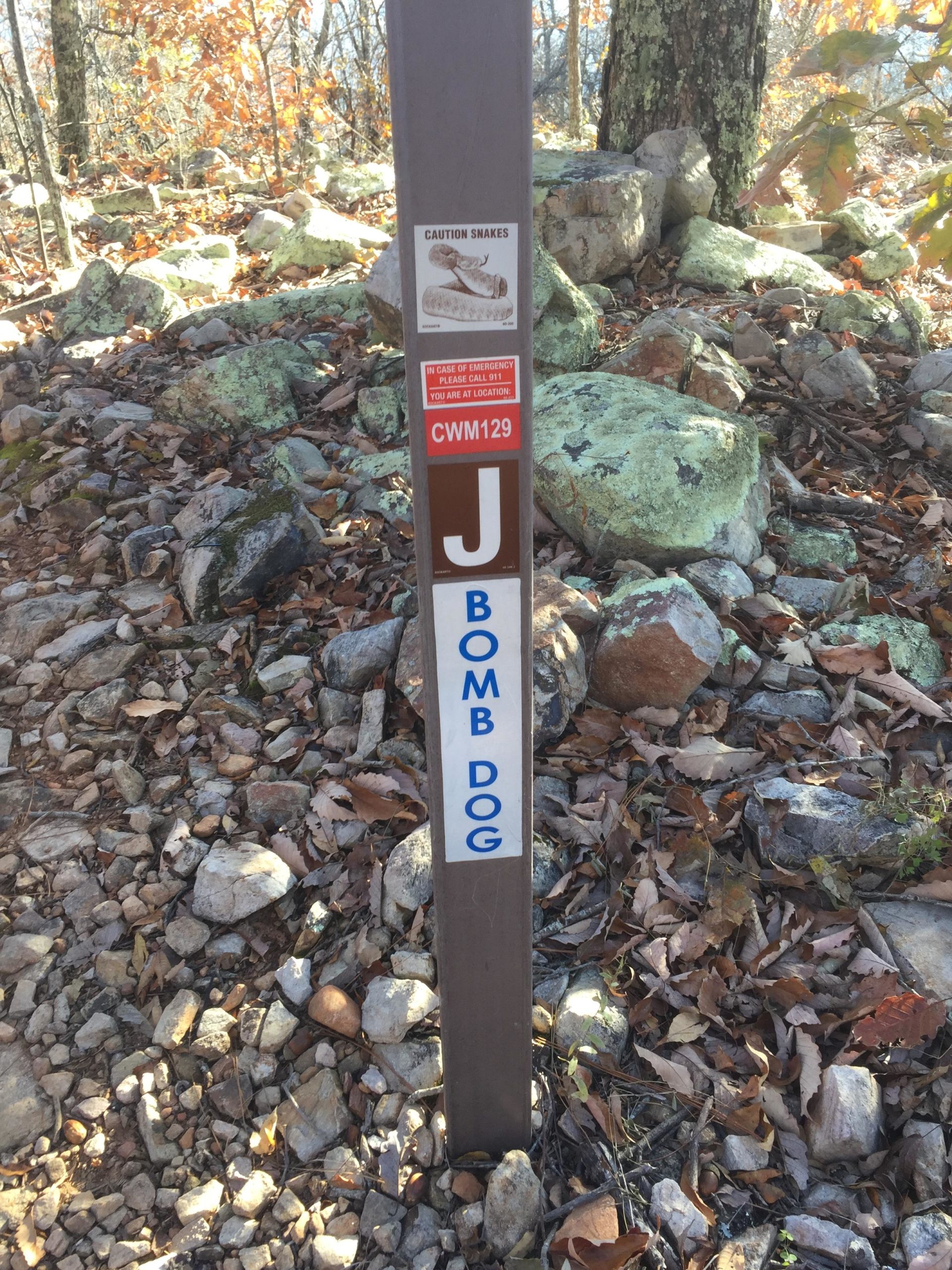 A wooden trail sign surrounded by rocks and fallen leaves, featuring the following labels: "Caution Snakes" with an illustration of a snake, a red emergency notice stating "In case of emergency, please call 911. You are at location CWM129," and a designation marked with a "J" and the words "BOMB DOG." The background shows a wooded area with autumn foliage. Coldwater Mountain mountain bike trail.