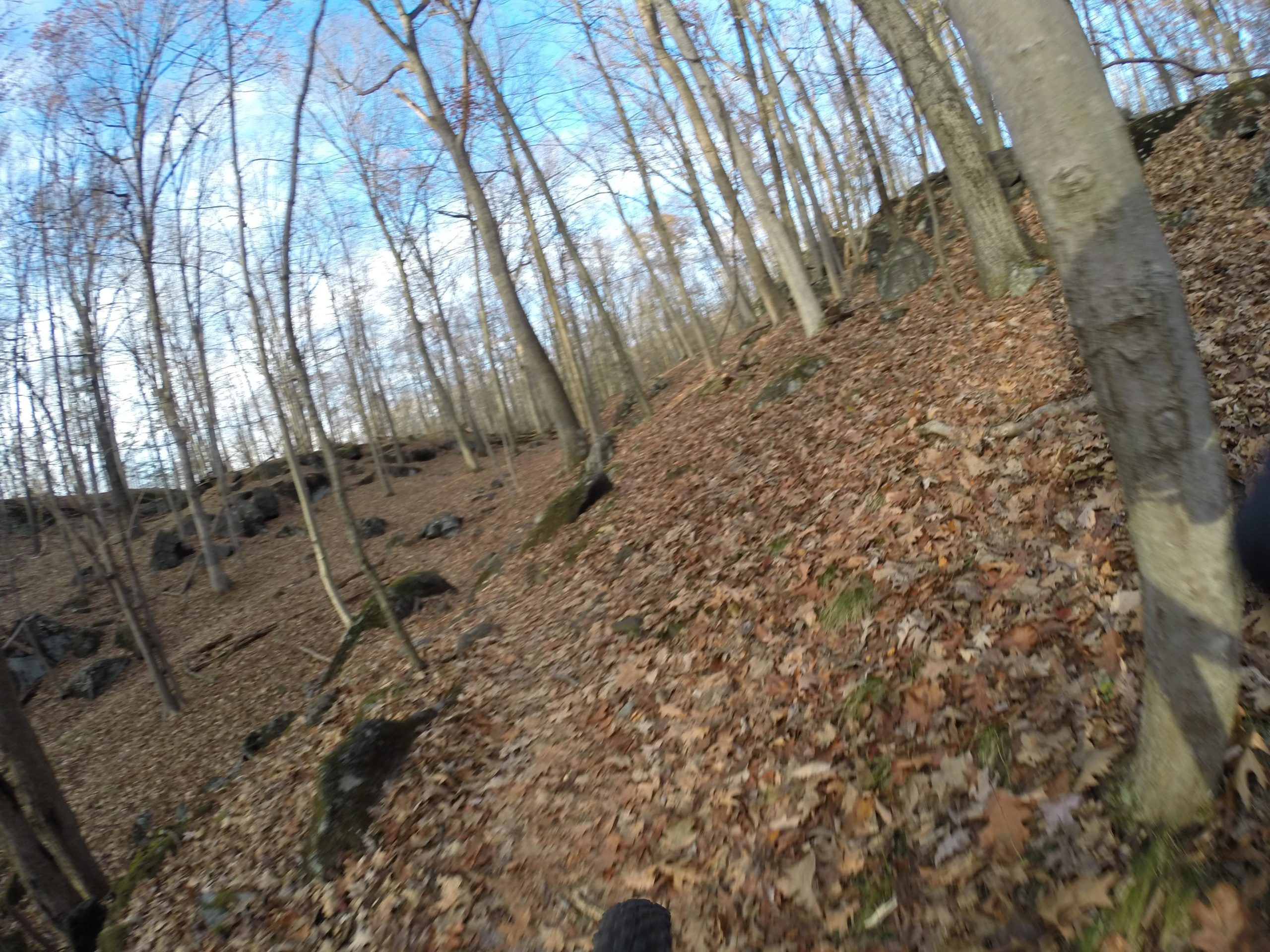 A winding trail through a deciduous forest, with bare trees and a carpet of fallen leaves covering the ground. Rocky outcrops are visible in the background, under a clear blue sky with scattered clouds. The image captures a sense of adventure in a natural setting, ideal for outdoor activities like hiking or mountain biking. Blue Mountain Reservation mountain bike trail.