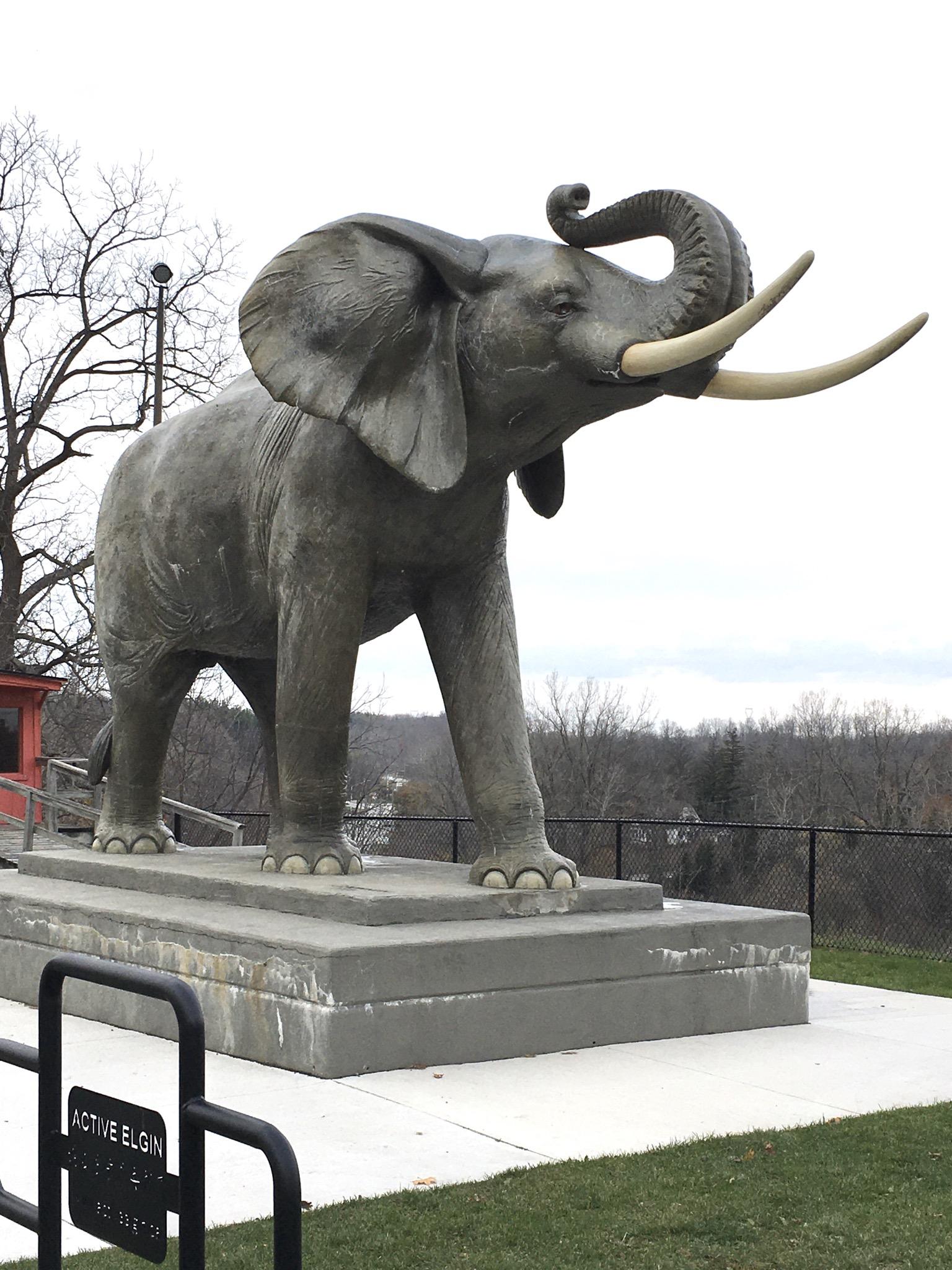 A large statue of an elephant with its trunk raised, showcasing its detailed form and tusks. The statue stands on a concrete base surrounded by grass, with a park-like setting in the background, including bare trees and a fence. A sign in front reads "ACTIVE ELGIN." Union station back woods mountain bike trail.