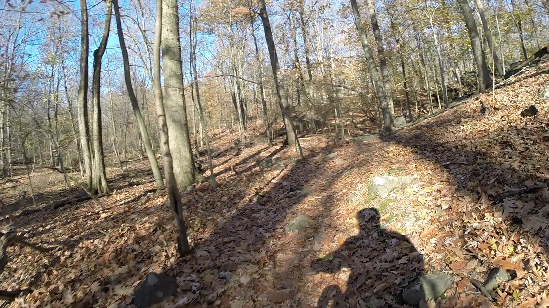 A shadow of a person on a forest trail covered with autumn leaves, surrounded by tall trees under a clear blue sky. The scene captures the tranquility of a wooded area in fall. Blue Mountain Reservation mountain bike trail.