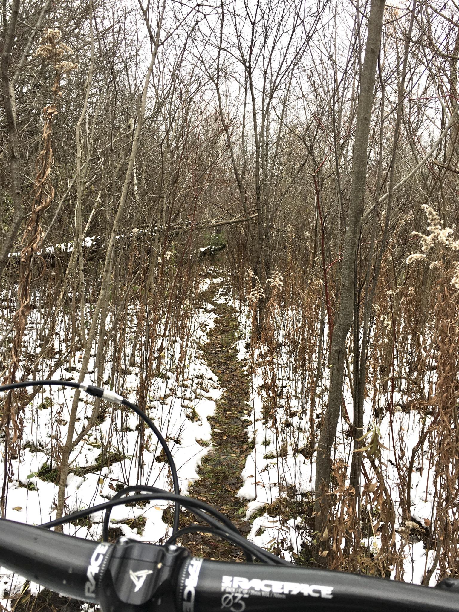 A view from the handlebars of a mountain bike, overlooking a narrow, muddy trail surrounded by bare trees and patches of snow. The landscape appears late autumn or early winter, with tall, dried grass and sparse vegetation flanking the path. Western University trails mountain bike trail.