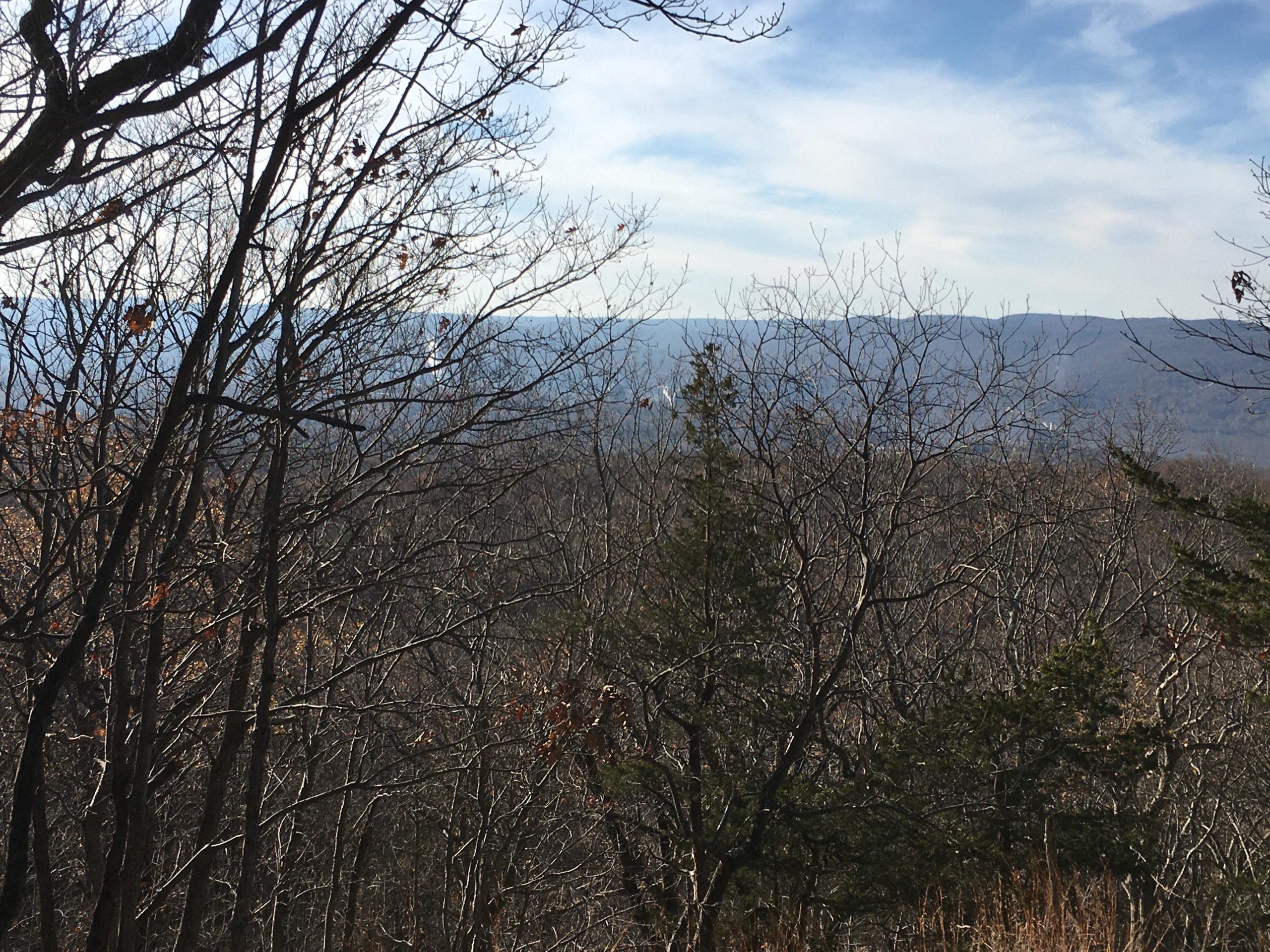 A panoramic view of a forested landscape during the winter months, featuring bare trees and a distant mountain range under a partially cloudy sky. Blue Mountain Reservation mountain bike trail.