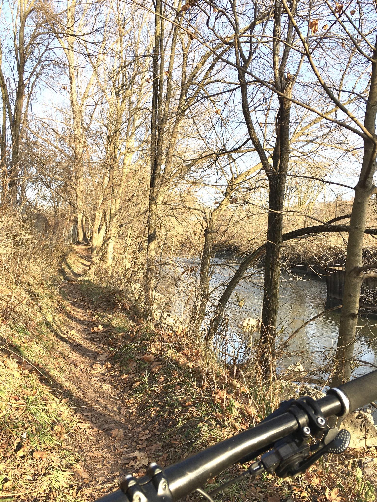 A winding dirt bike path beside a river, framed by bare trees and autumn leaves on the ground. A bicycle handlebar is partially visible in the foreground, indicating the perspective of a cyclist enjoying the scenic route. The sun casts soft light on the scene, creating a tranquil outdoor atmosphere. Don Valley mountain bike trail.