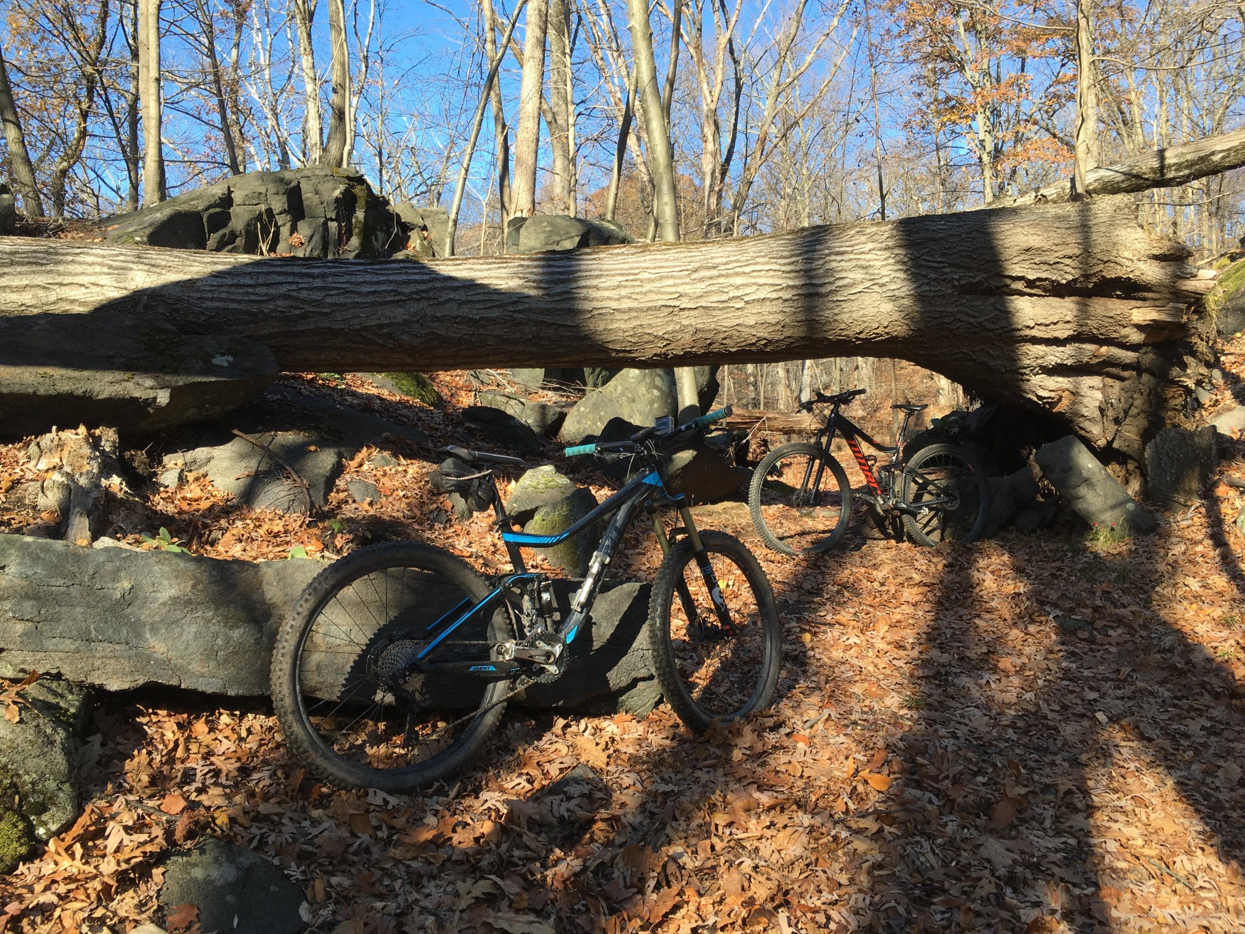 Two mountain bikes are parked beside a large fallen tree in a wooded area. The ground is covered with orange and brown fallen leaves, and there are scattered rocks and trees in the background. The scene is illuminated by bright sunlight with a clear blue sky above. Blue Mountain Reservation mountain bike trail.