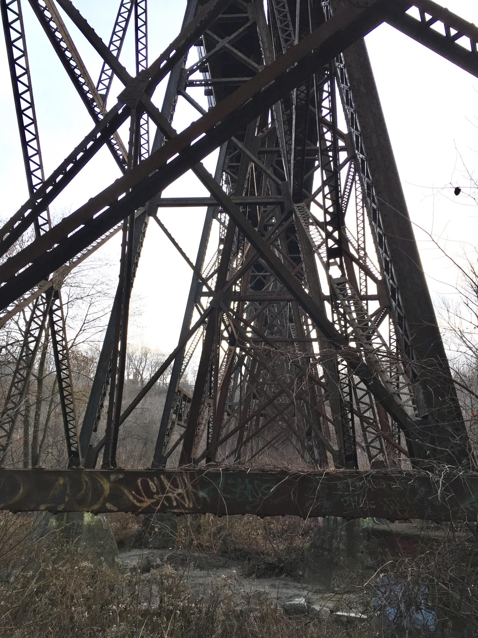 View from below a large, rusty railroad trestle bridge, showcasing its intricate metal framework and supporting beams. The area around the bridge is overgrown with dried vegetation, and patches of graffiti can be seen on the lower beams. The sky above is overcast, creating a moody atmosphere. Don Valley mountain bike trail.