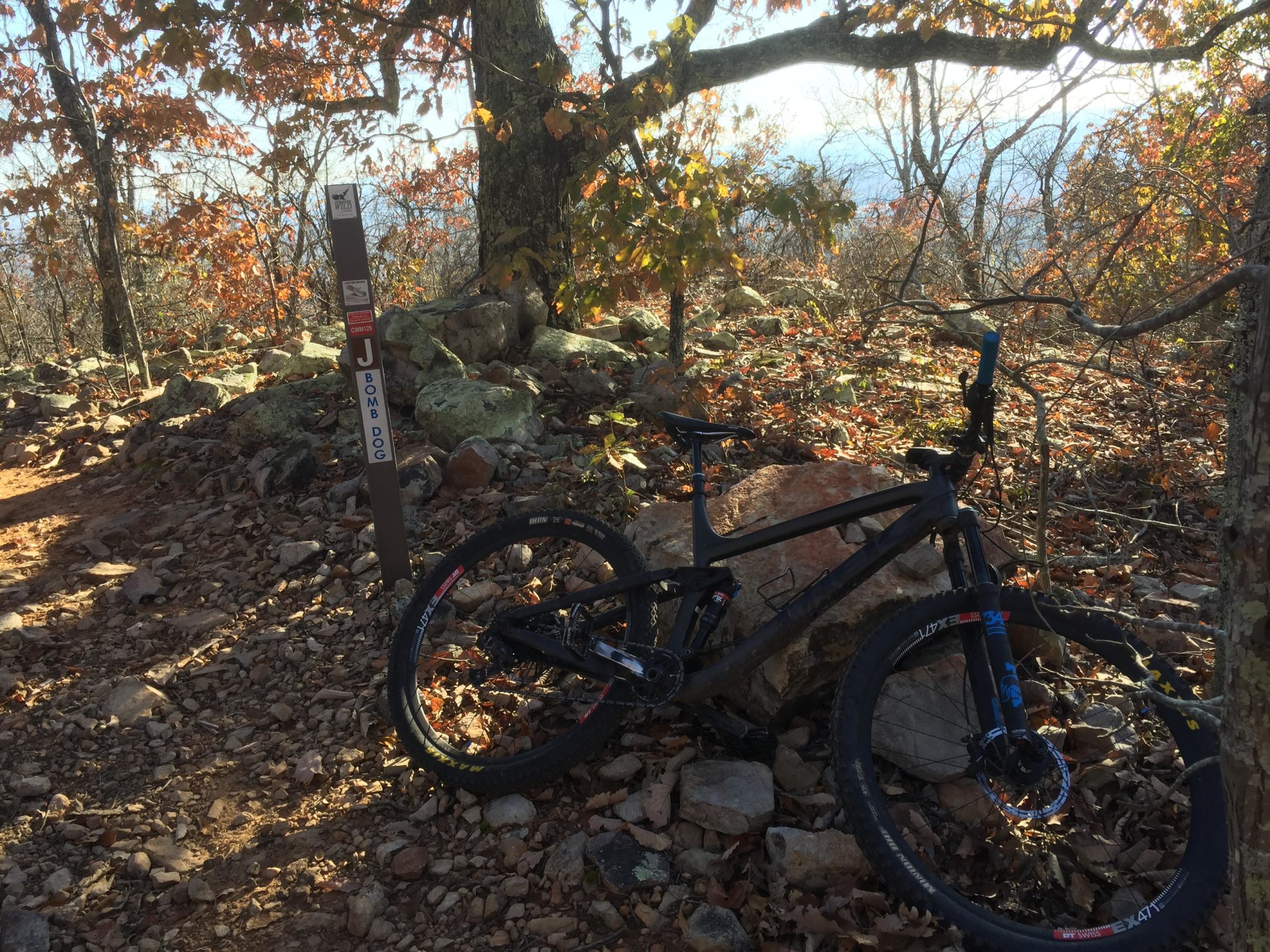 A mountain bike leaning against a boulder next to a trail sign labeled "BOMB DOG" in a wooded area with autumn leaves. The sun shines through the trees, casting light on the rocky terrain. Coldwater Mountain mountain bike trail.