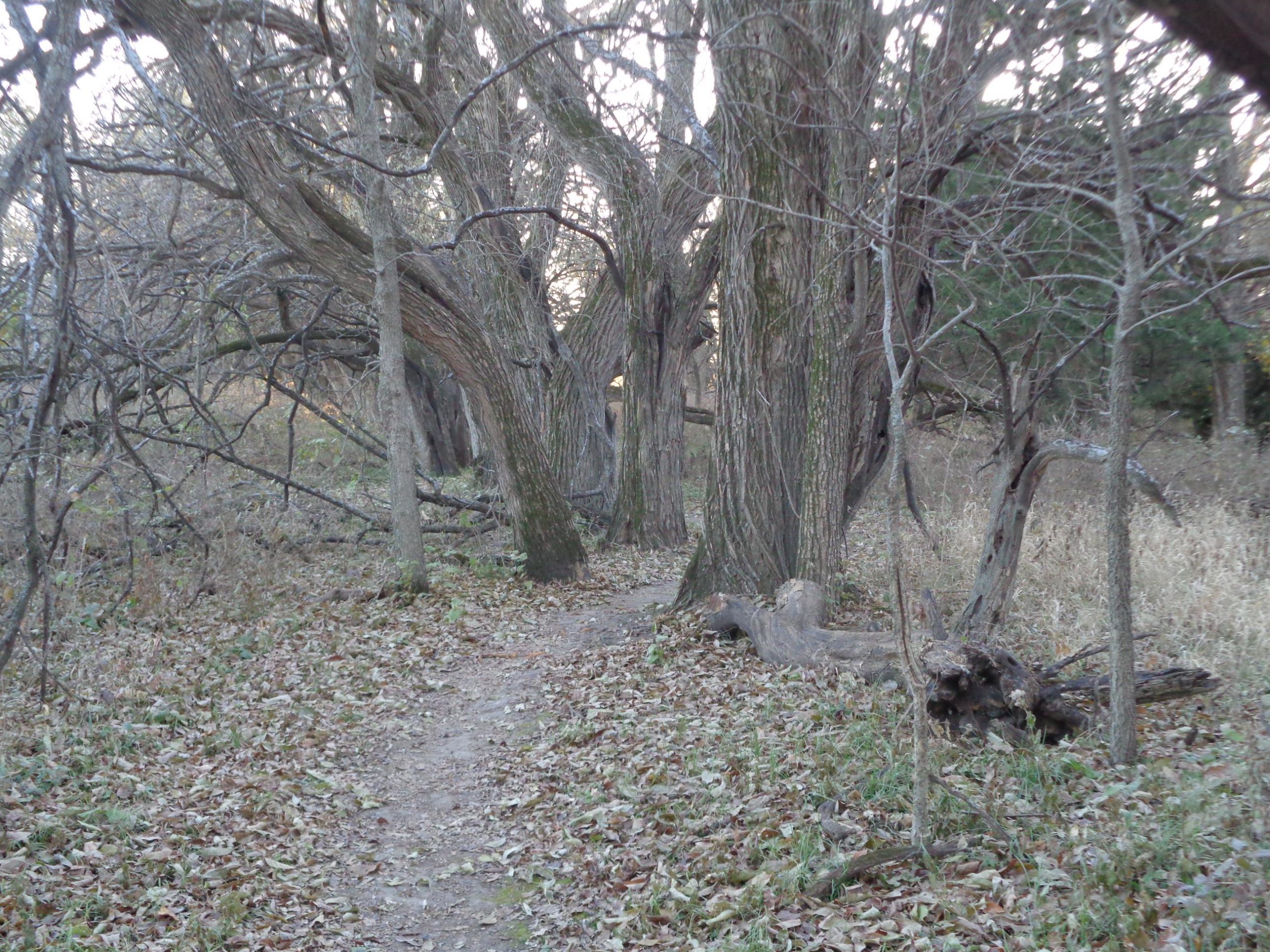  Big Bull Creek mountain bike trail.