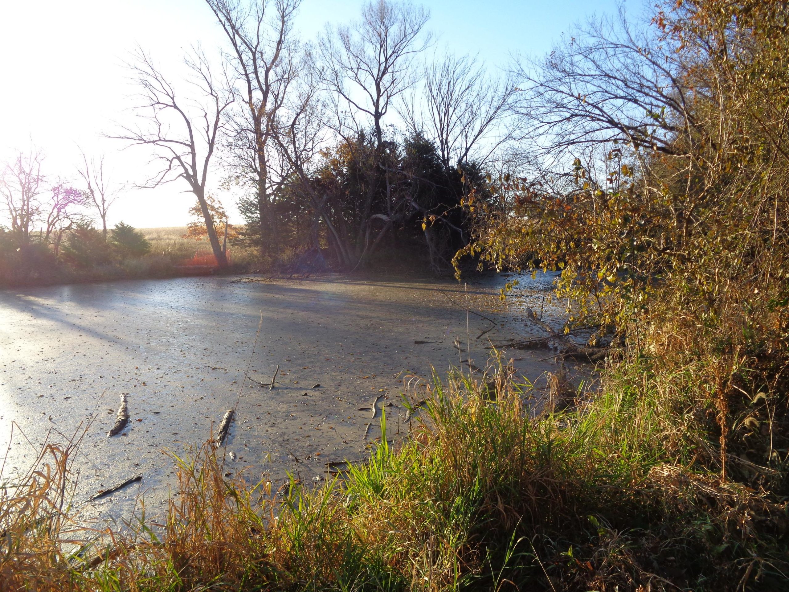 A serene landscape featuring a calm pond surrounded by trees during the fall season. The water is partially covered with fallen leaves and has a reflective surface, capturing the golden light of the sun. Tall grass and foliage frame the scene, enhancing the natural beauty of the setting. Big Bull Creek mountain bike trail.