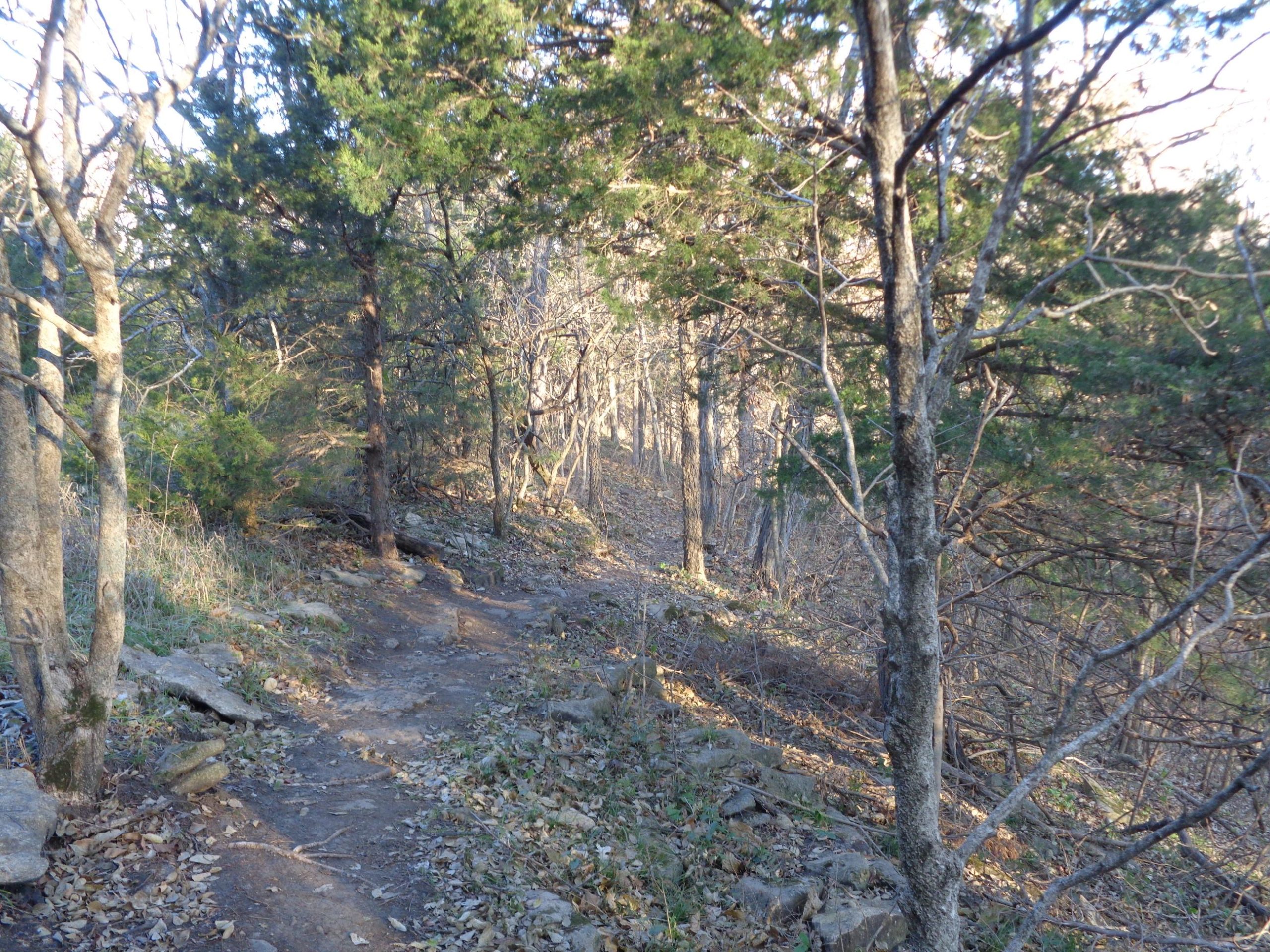 A narrow, winding dirt path surrounded by trees in a forested area. The terrain is rocky, with scattered leaves along the trail. Sunlight filters through the branches, illuminating the scene with a warm glow. Big Bull Creek mountain bike trail.