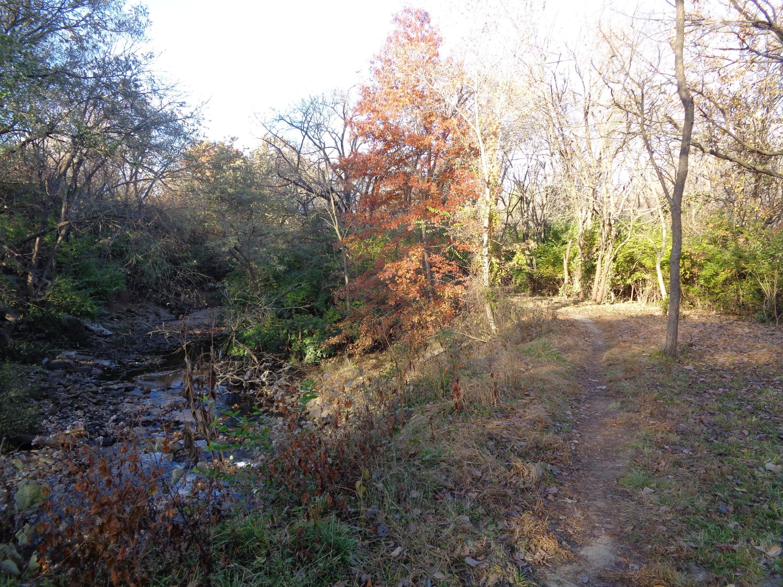 A serene landscape featuring a winding dirt path next to a small creek, surrounded by trees with autumn foliage. The area is lush with greenery, while some trees display vibrant red and orange leaves, indicating the changing season. Sunlight filters through the branches, creating a peaceful atmosphere in the natural setting. Shangai Single Track Trail mountain bike trail.