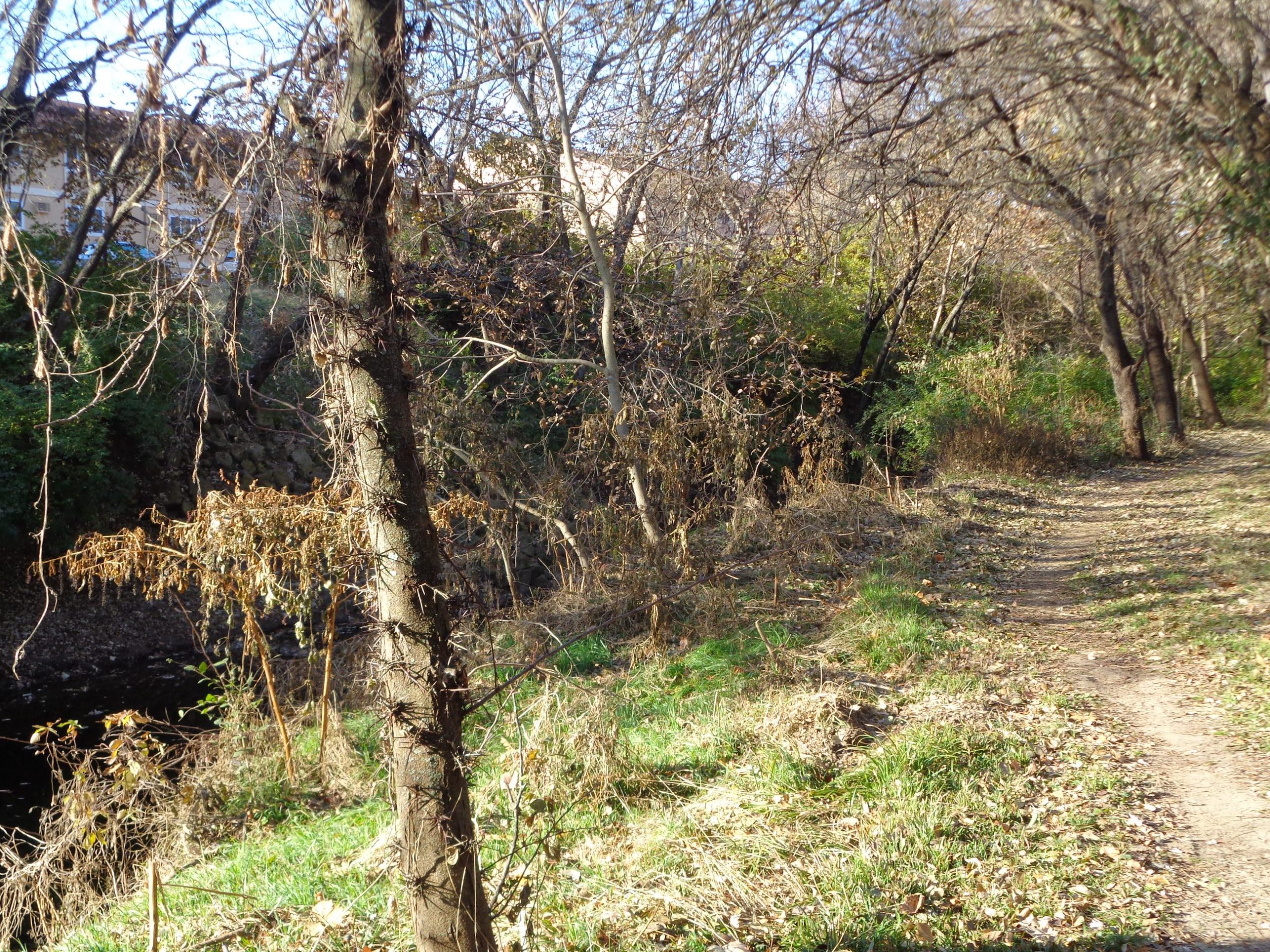A scenic pathway alongside a river, bordered by trees with sparse foliage, indicating a late autumn or early winter setting. The ground is covered in fallen leaves, and the greenery is minimal, showcasing a natural environment with a mix of exposed earth and grass. In the background, elements of a building are subtly visible through the trees. Shangai Single Track Trail mountain bike trail.