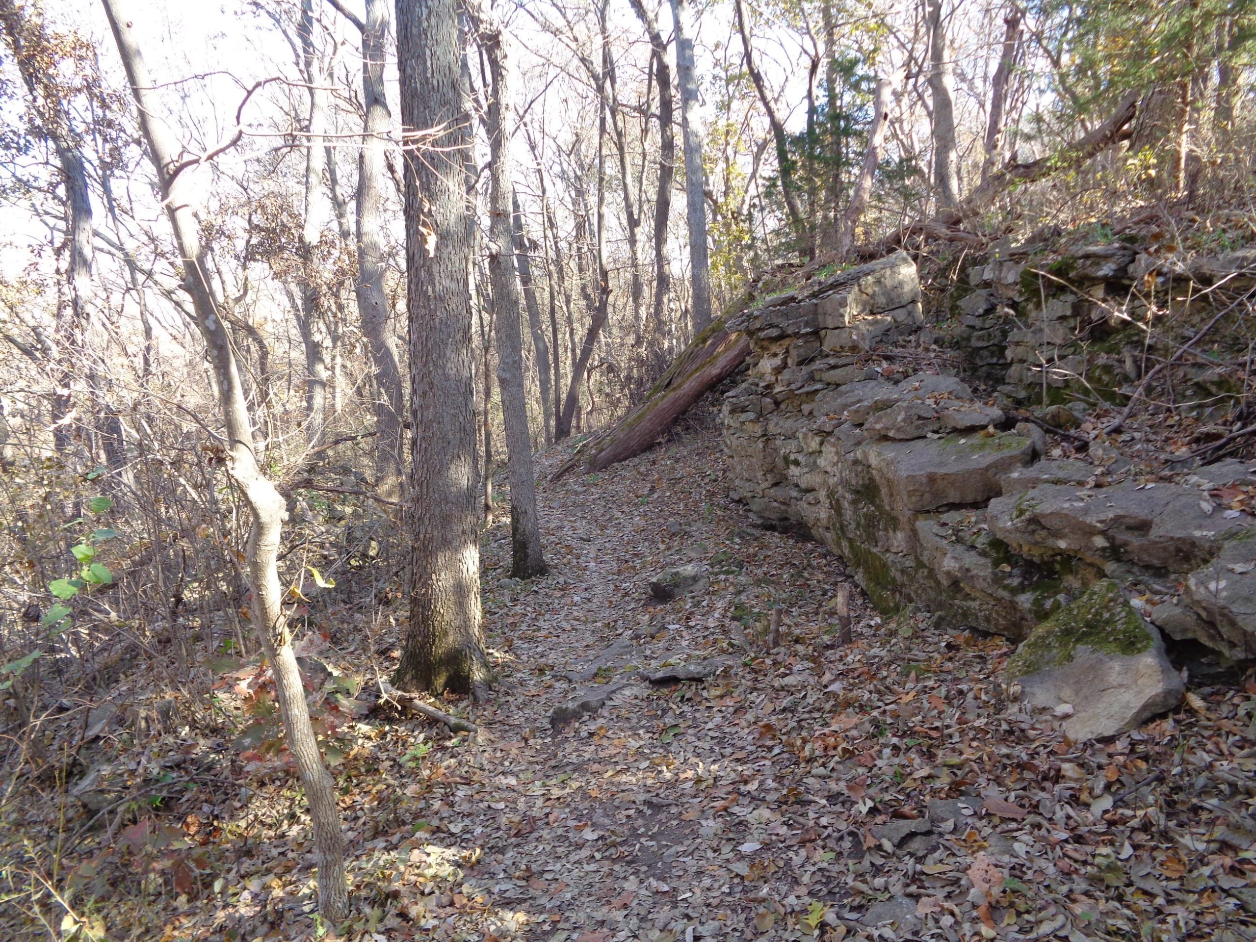 A narrow, winding trail surrounded by bare trees and scattered autumn leaves, with a rocky stone wall on the right side. The scene is set in a quiet, wooded area, showcasing the tranquility of nature in a late fall setting. Emerald Loop mountain bike trail.