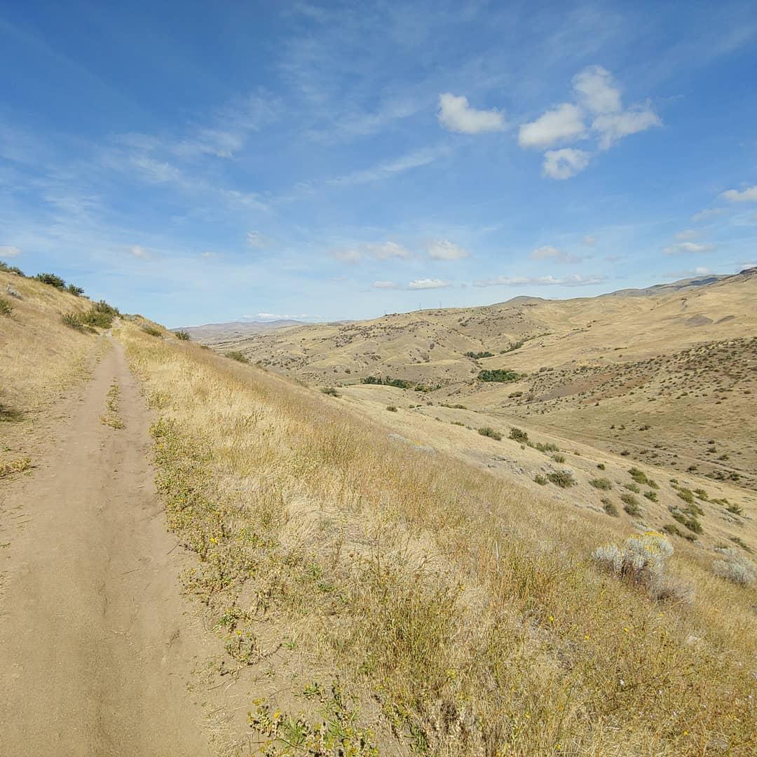 A dirt path meanders through dry, hilly terrain under a clear blue sky, with sparse vegetation and distant mountains visible in the background. Peggys Trail mountain bike trail.