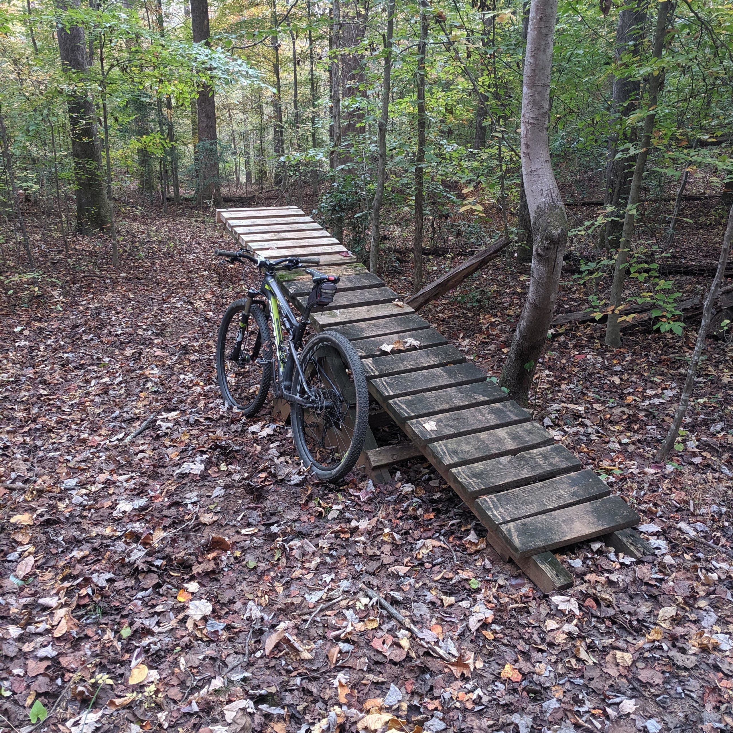 Mountain bike resting on a wooden ramp in a forested area covered with fallen leaves, surrounded by trees. Horizons Park mountain bike trail.
