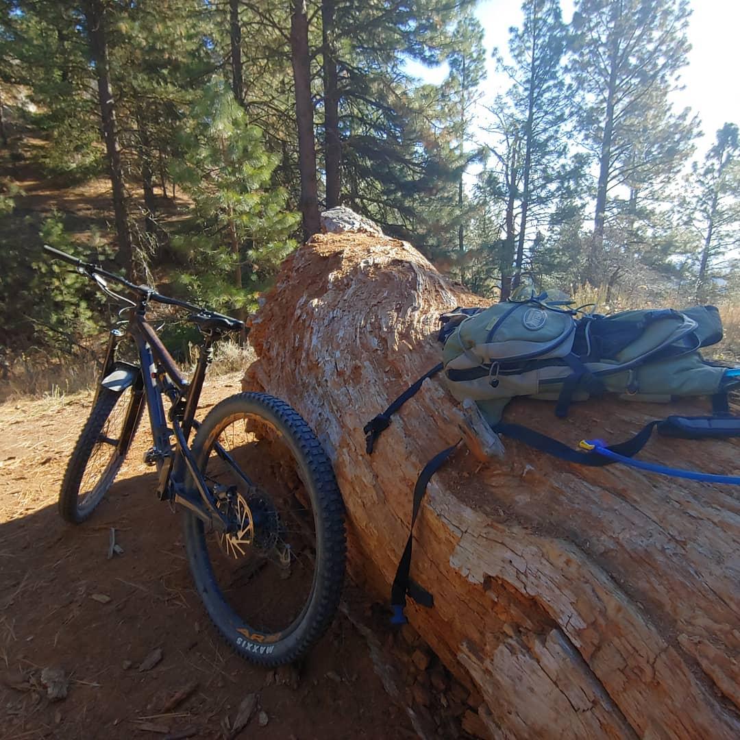 A mountain bike leaned against a large fallen log, with a hiking backpack resting on top of the log. Surrounding pine trees and a clear blue sky are visible in the background. The ground is covered with pine needles and dirt, indicating a natural outdoor setting. East Side Trail mountain bike trail.