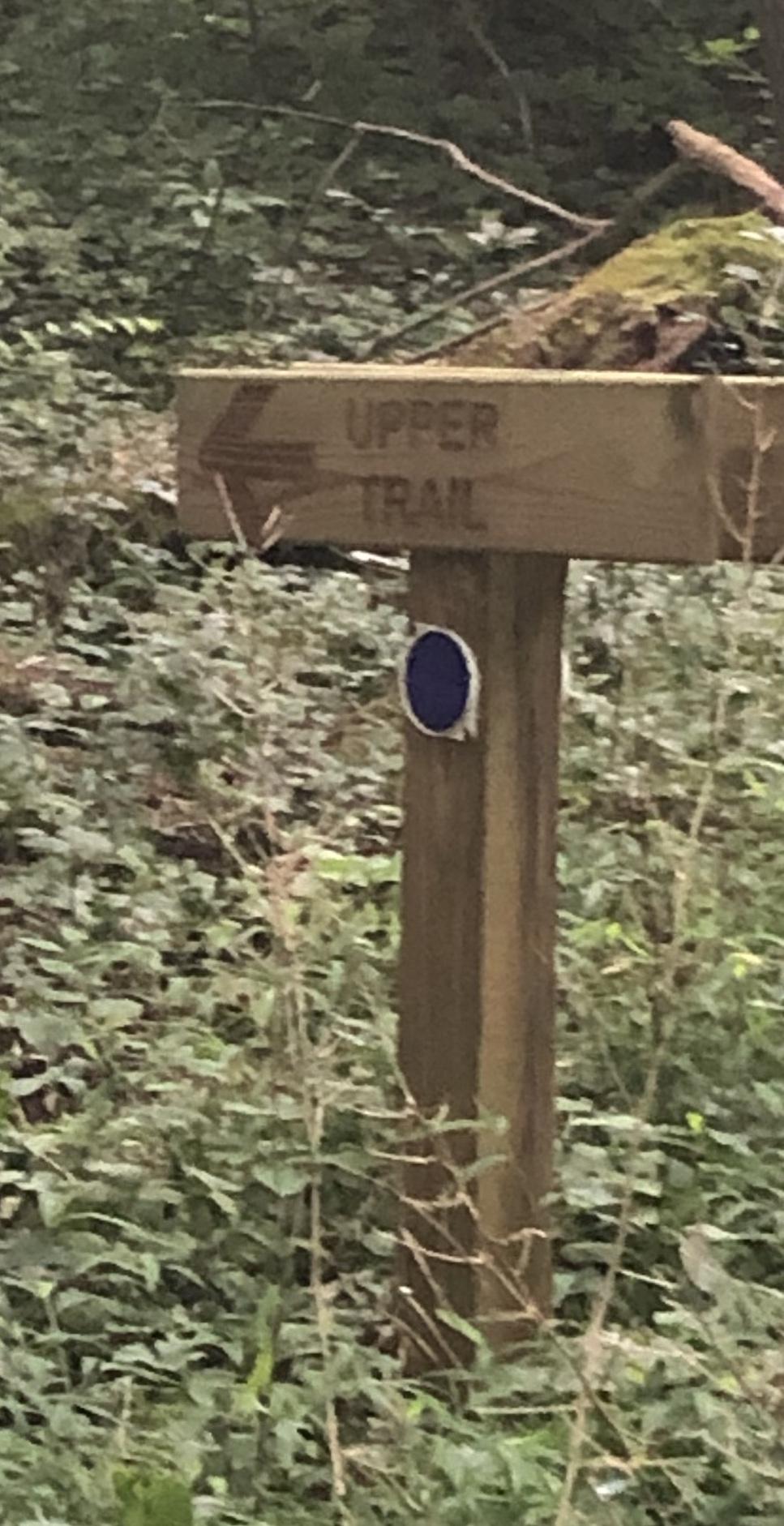 Wooden trail sign indicating "Upper Trail" with an arrow pointing left, surrounded by greenery in a wooded area. Upper Trail mountain bike trail.