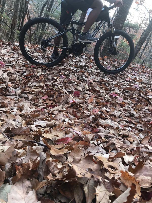 A person riding a mountain bike on a path covered with fallen leaves in a forested area. The ground is scattered with various shades of brown and some red leaves, indicating autumn. Trees can be seen in the background, adding to the natural setting. Aska Trail System mountain bike trail.