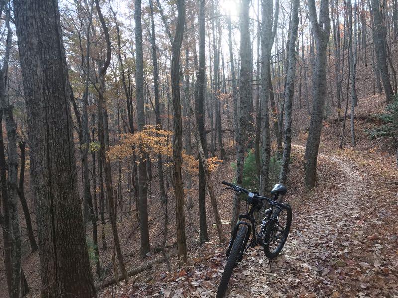 A mountain bike resting on a dirt path surrounded by tall trees with autumn foliage. Shafts of sunlight filter through the trees, illuminating the trail covered in fallen leaves. Aska Trail System mountain bike trail.