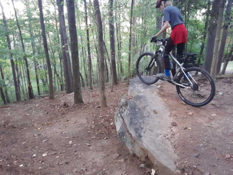 A person on a mountain bike is positioned on a large rock in a forested area, preparing to ride downhill. Surrounding trees and fallen leaves are visible, indicating a natural outdoor setting. Big Creek mountain bike trail.