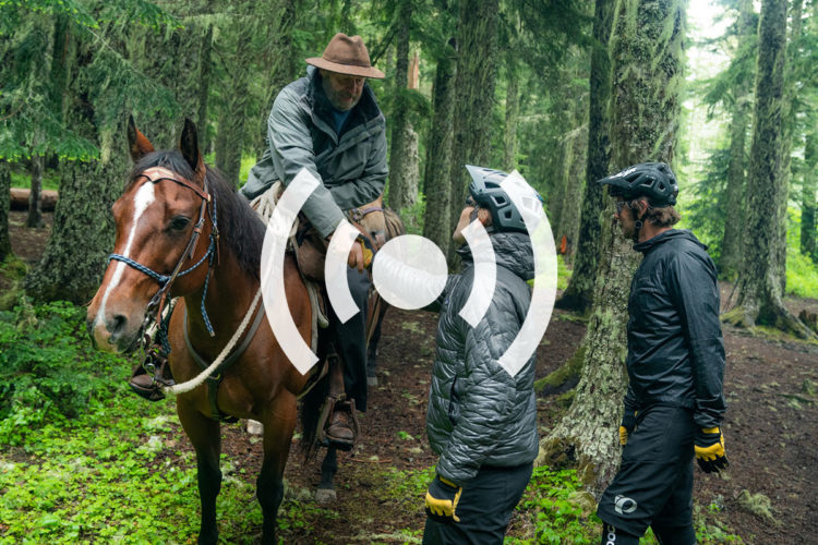 A person on horseback interacts with two individuals in a forested area, surrounded by tall trees and lush greenery. The rider is dressed in a working jacket and a hat, while the two people on foot are wearing helmets and outdoor clothing. The scene conveys a moment of connection in a natural setting.