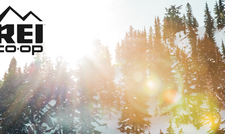 A sunlit winter landscape featuring a forest of evergreen trees on a snowy slope, with the REI Co-op logo prominently displayed in the upper left corner.