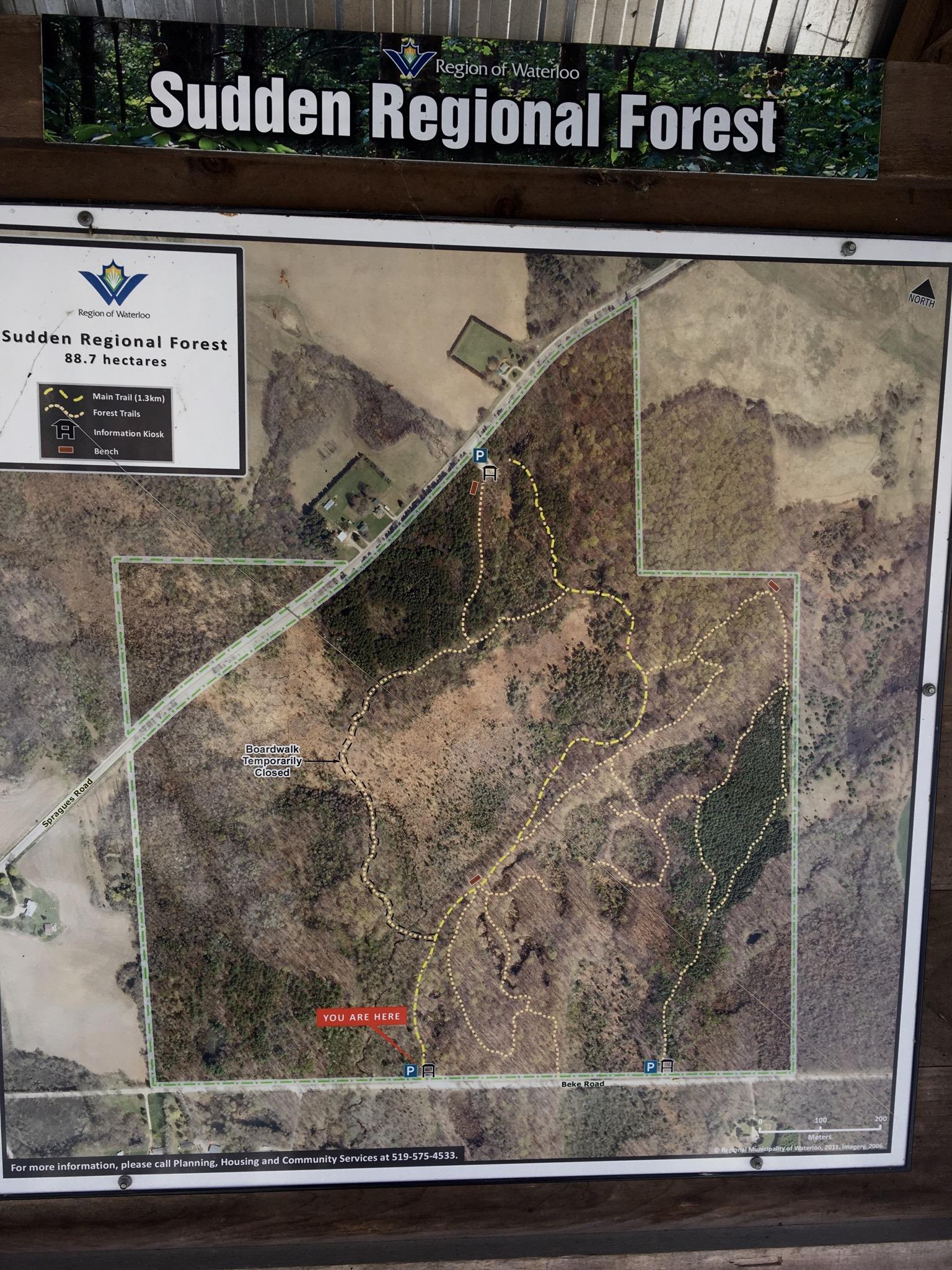 Map of Sudden Regional Forest, displaying trails, main trail distance of 3.1 km, parking areas, and location markers. The map highlights areas for hiking, a bench, and notes a temporarily closed boardwalk. The highlighted section indicates "YOU ARE HERE," helping visitors navigate the 88.7-hectare forest. Sudden Forest mountain bike trail.