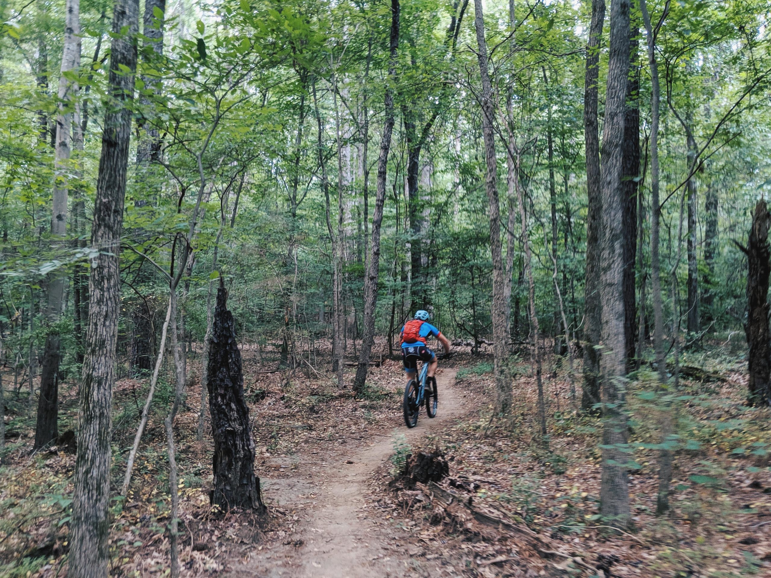 A cyclist rides a mountain bike along a winding dirt trail through a dense forest filled with green trees and foliage. The scene conveys a sense of adventure and nature. Southside Park mountain bike trail.
