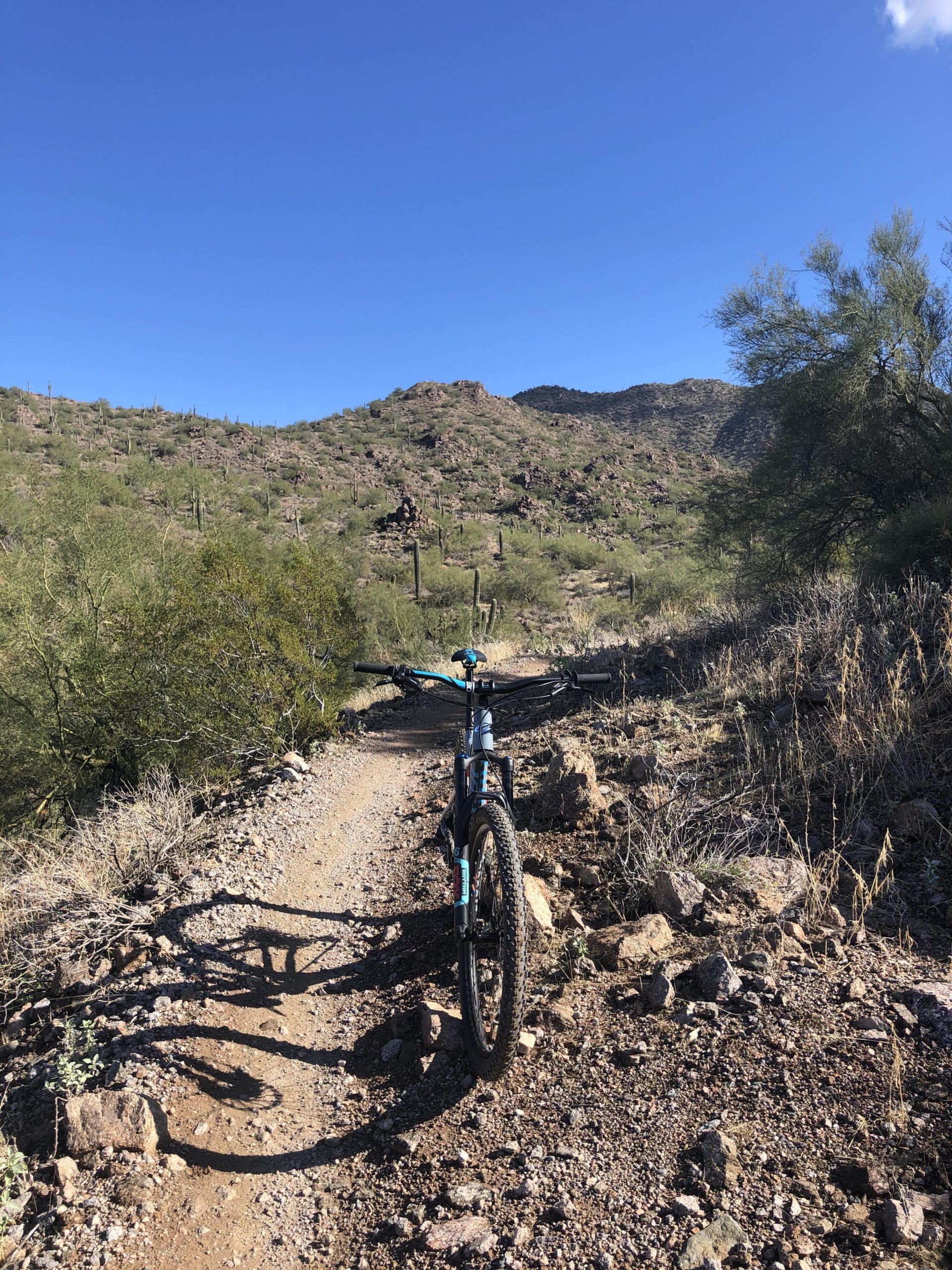 A mountain bike positioned on a dusty trail, surrounded by rocky terrain and desert vegetation. In the background, rolling hills are dotted with cacti under a bright blue sky. Shadows cast by the bike stretch across the trail. Hawes Loop mountain bike trail.